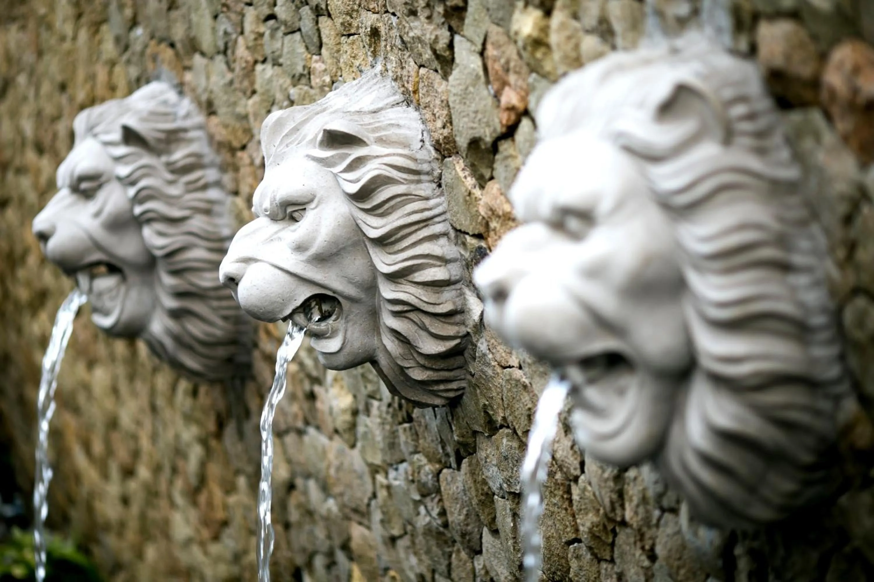 Area and facilities in The Leaf Jimbaran