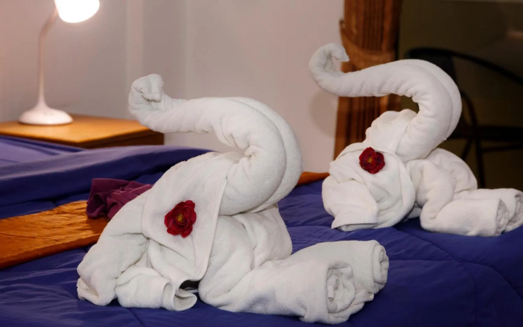 Bed in Traveller's Rest Sports Bar