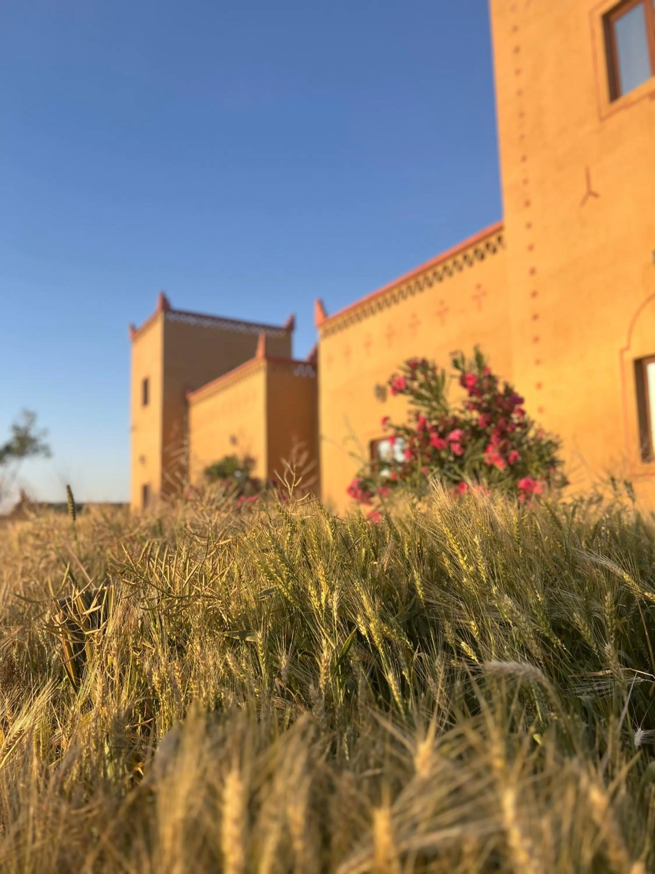 Property building in Hotel Berber Palace Merzouga