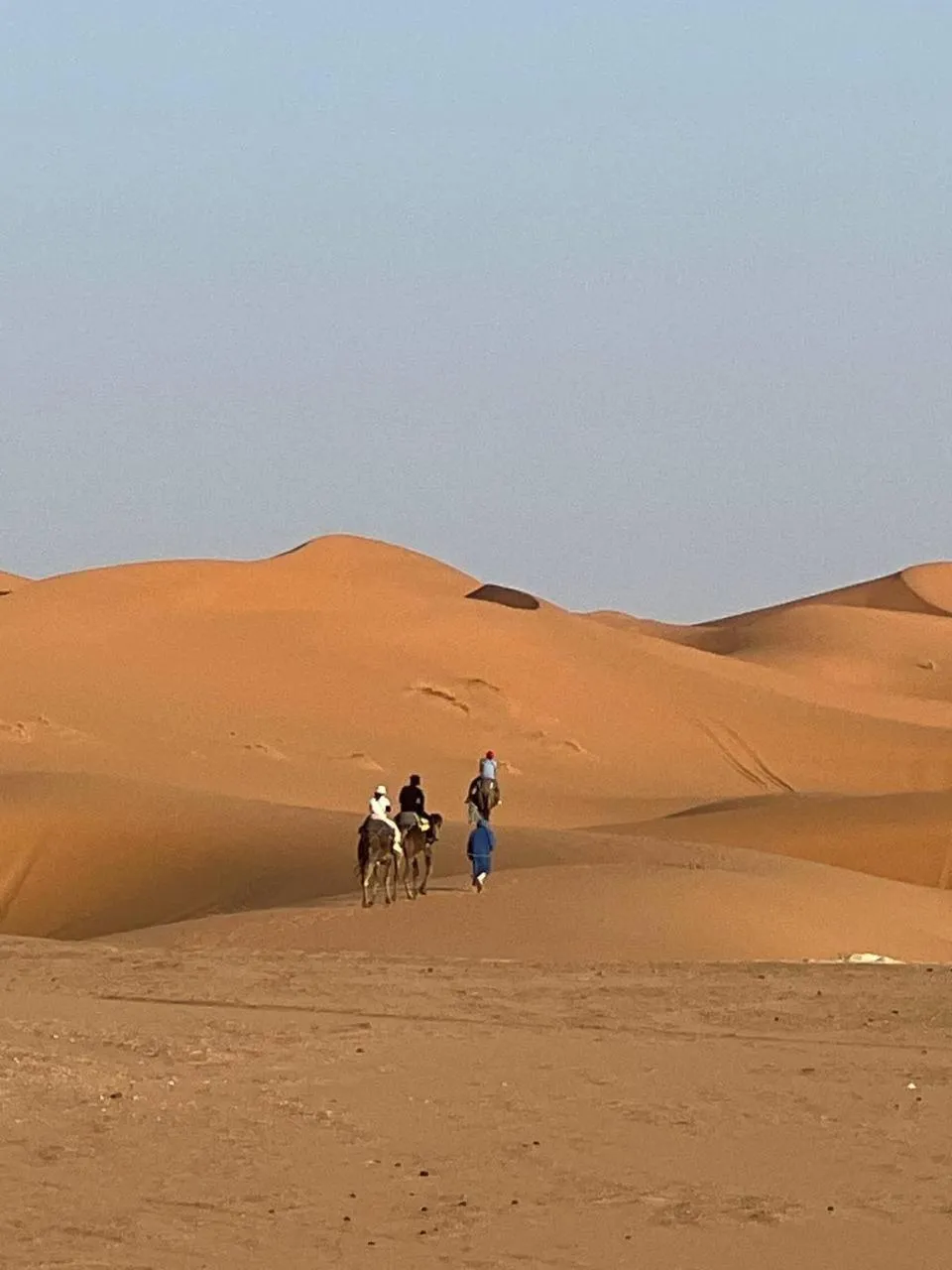 Day in Hotel Berber Palace Merzouga