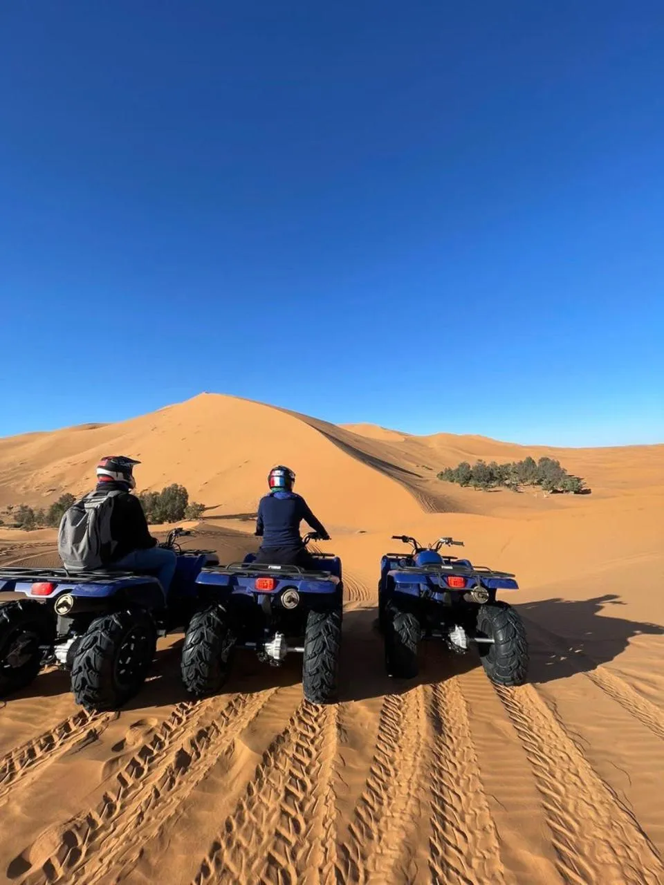 Day in Hotel Berber Palace Merzouga