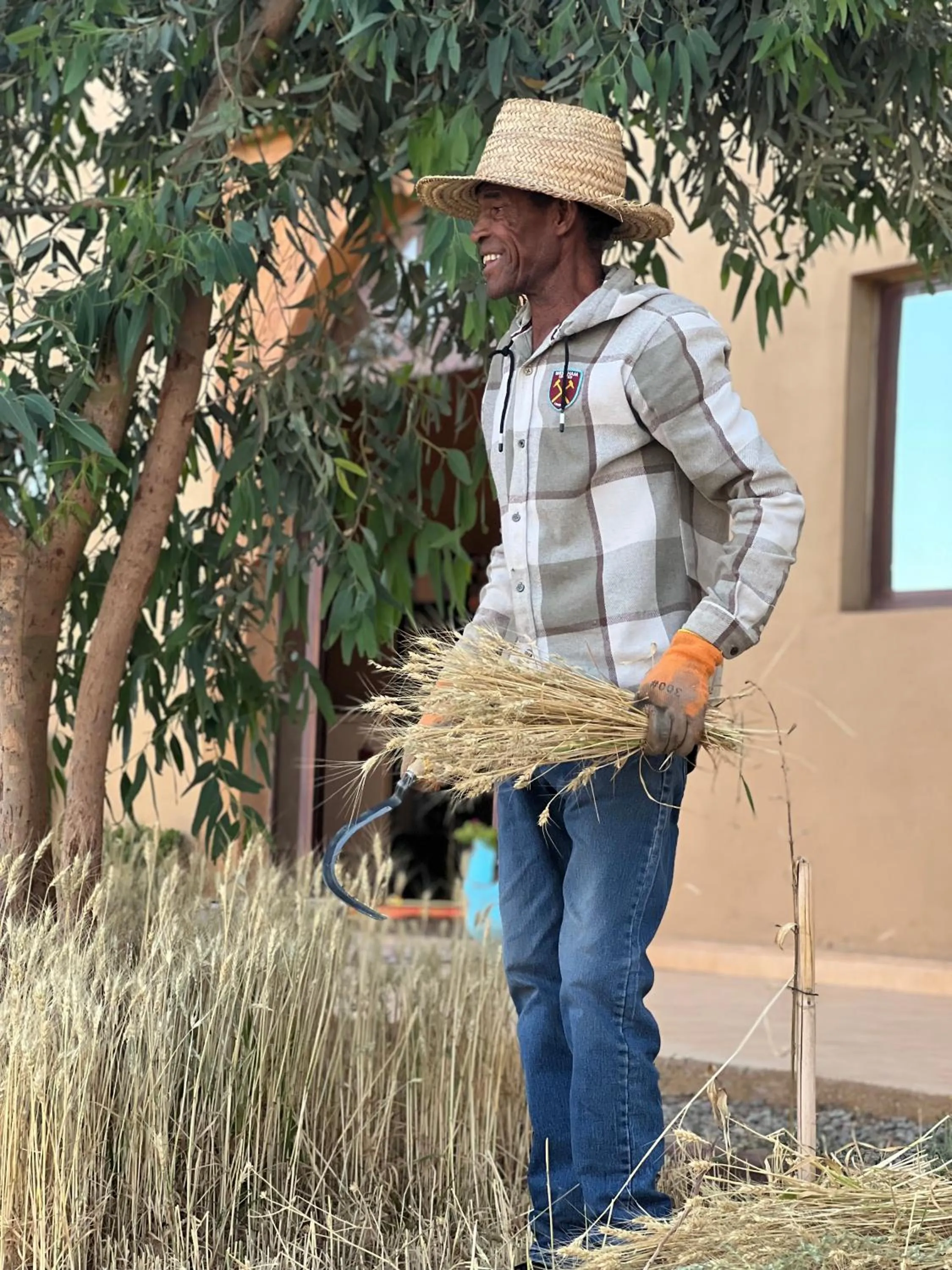 Property building in Hotel Berber Palace Merzouga