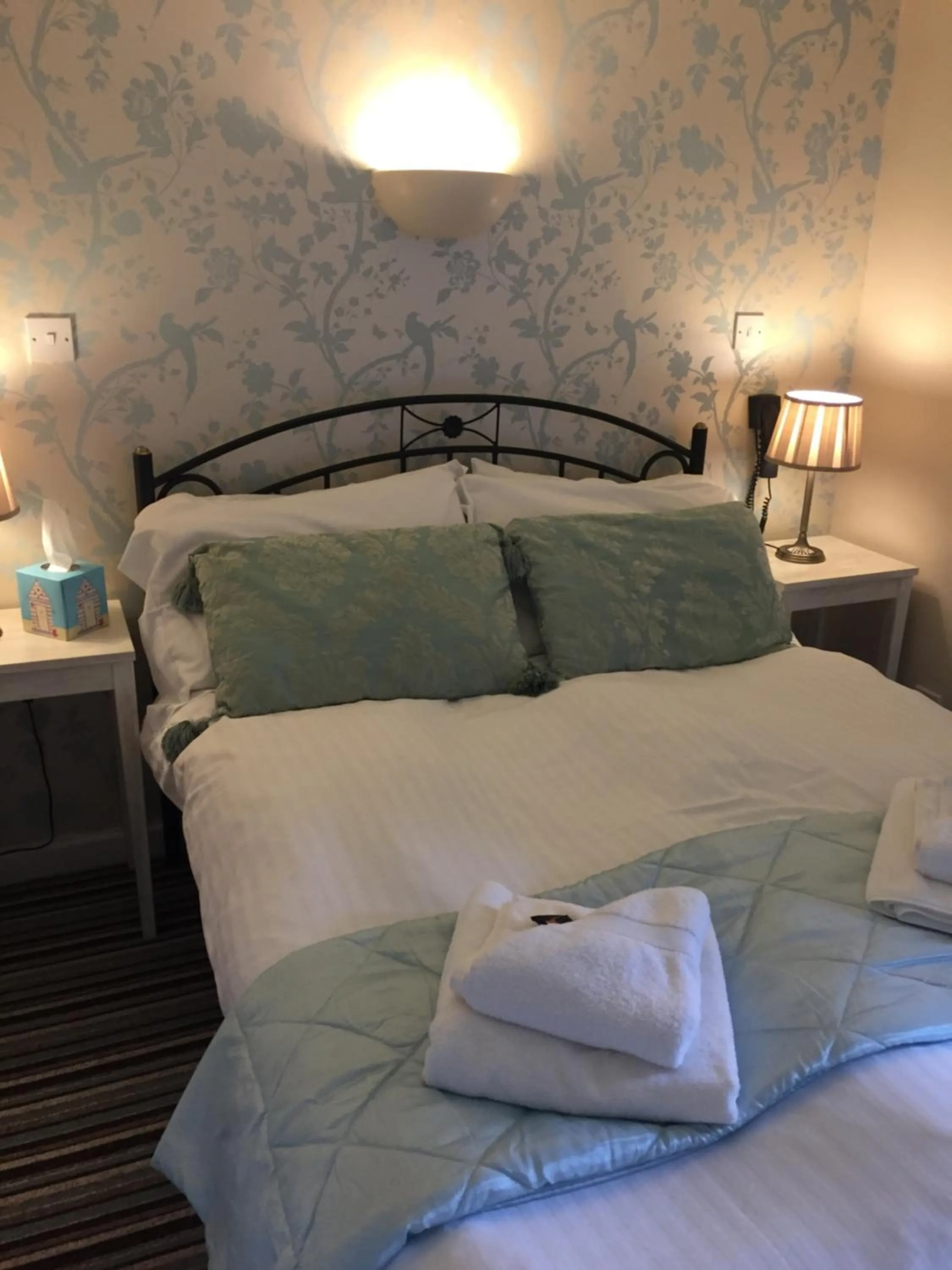 Bedroom, Bed in The Hand at Llanarmon