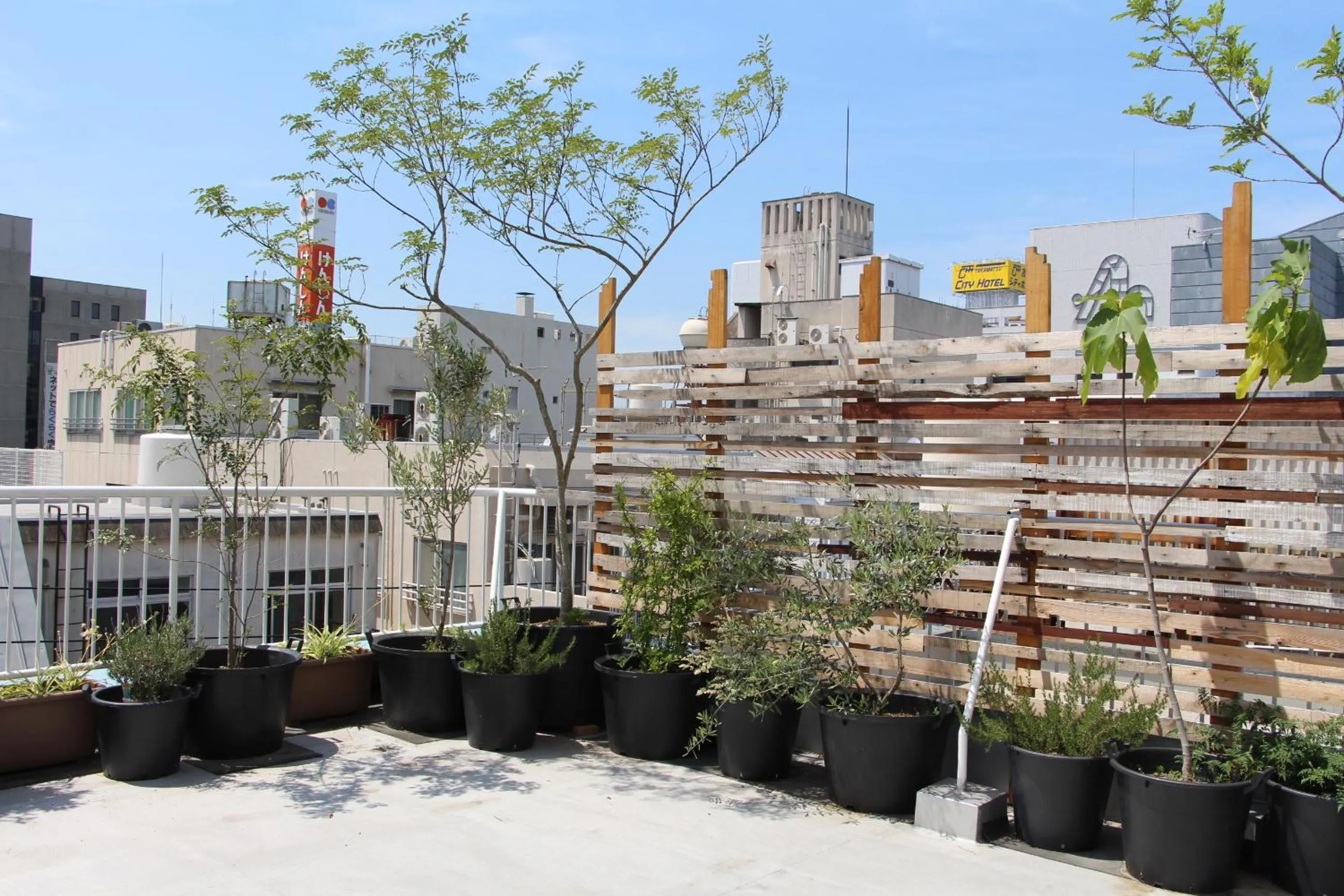 Day in Ten to Sen Guesthouse