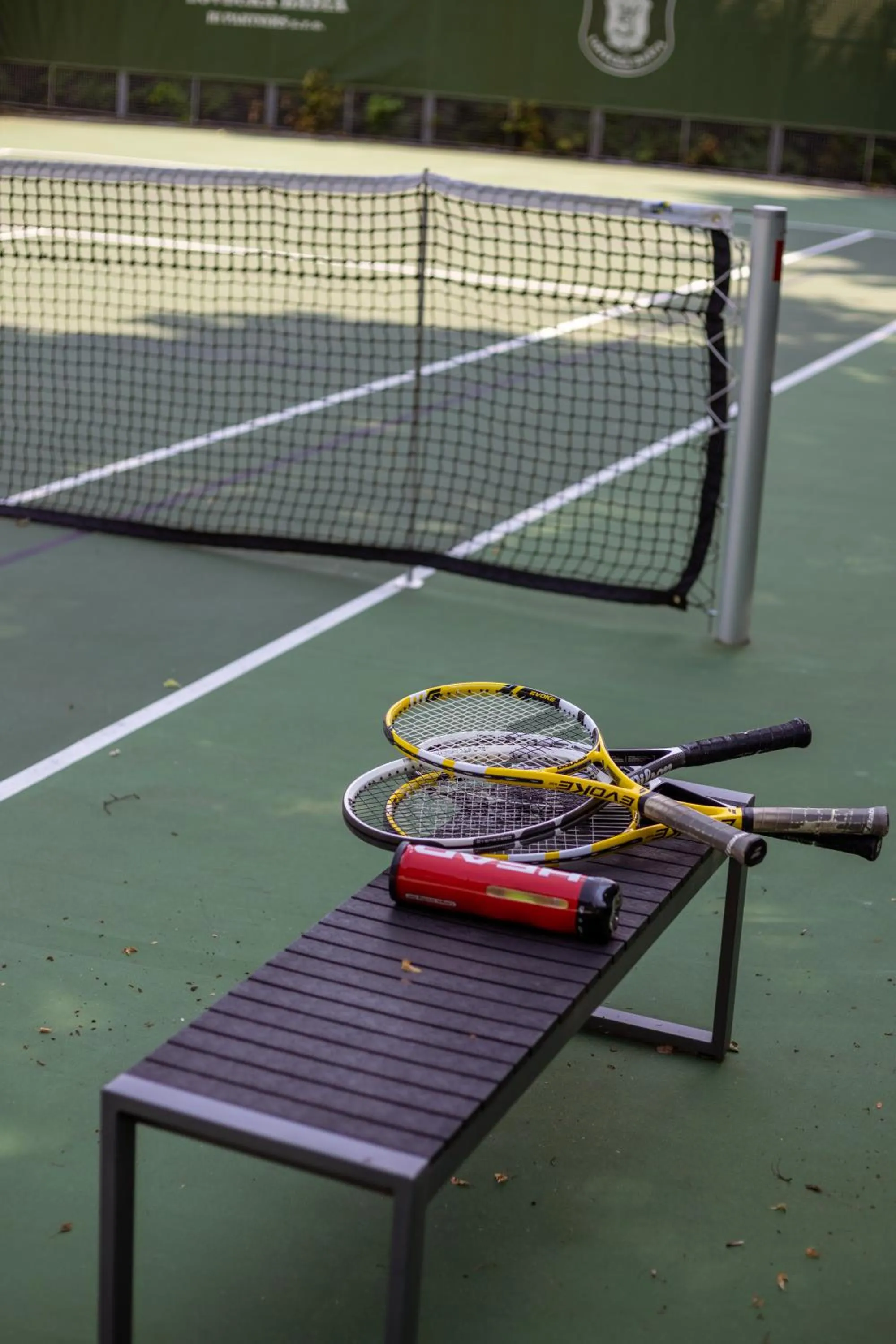 Tennis court in Hotel resort Lovecká bašta Strakonice
