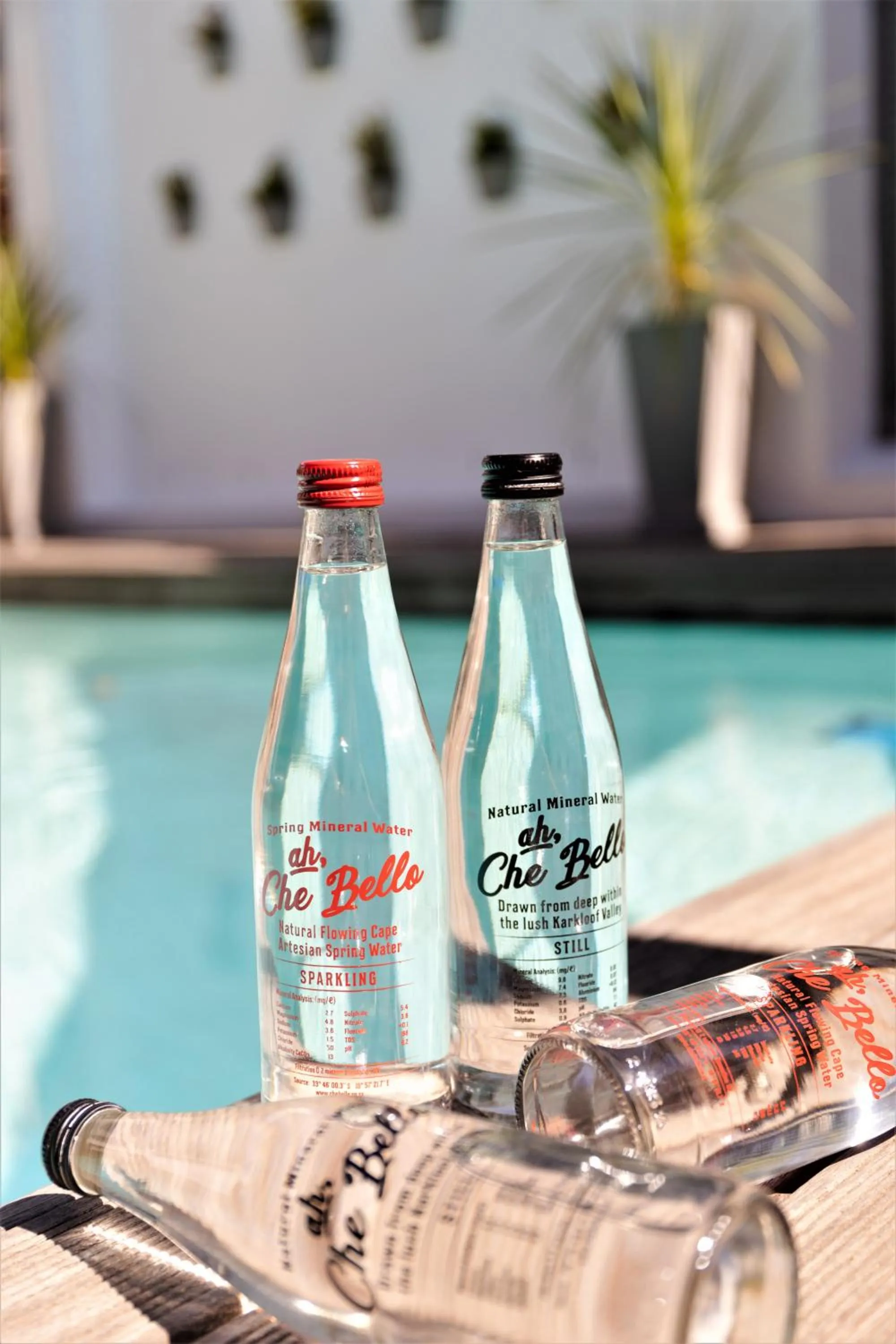 Non alcoholic drinks in Cape Diem Lodge