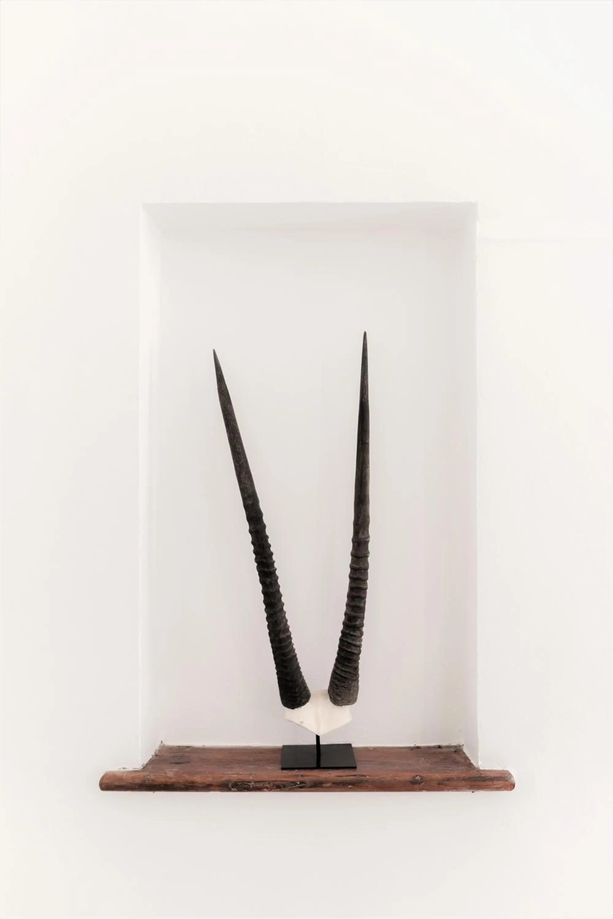 Decorative detail in Cape Diem Lodge