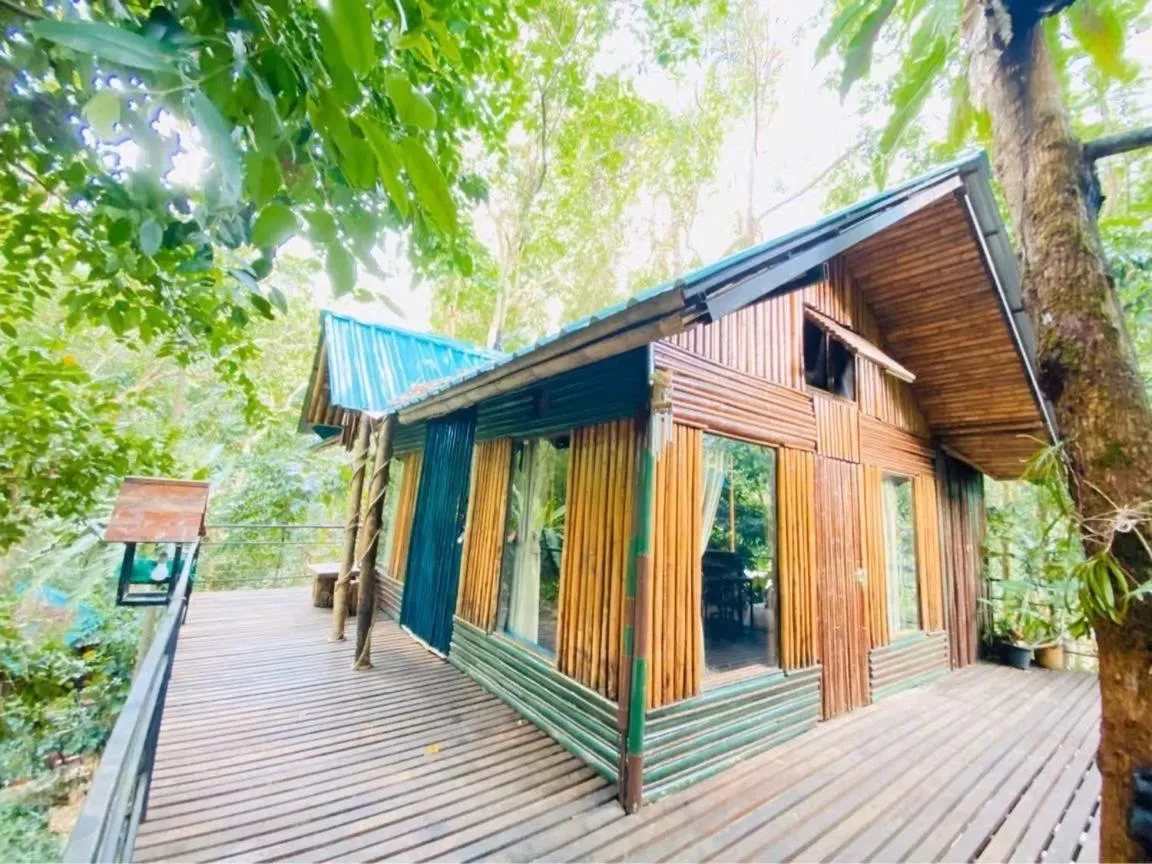 Khao Sok Tree House Resort