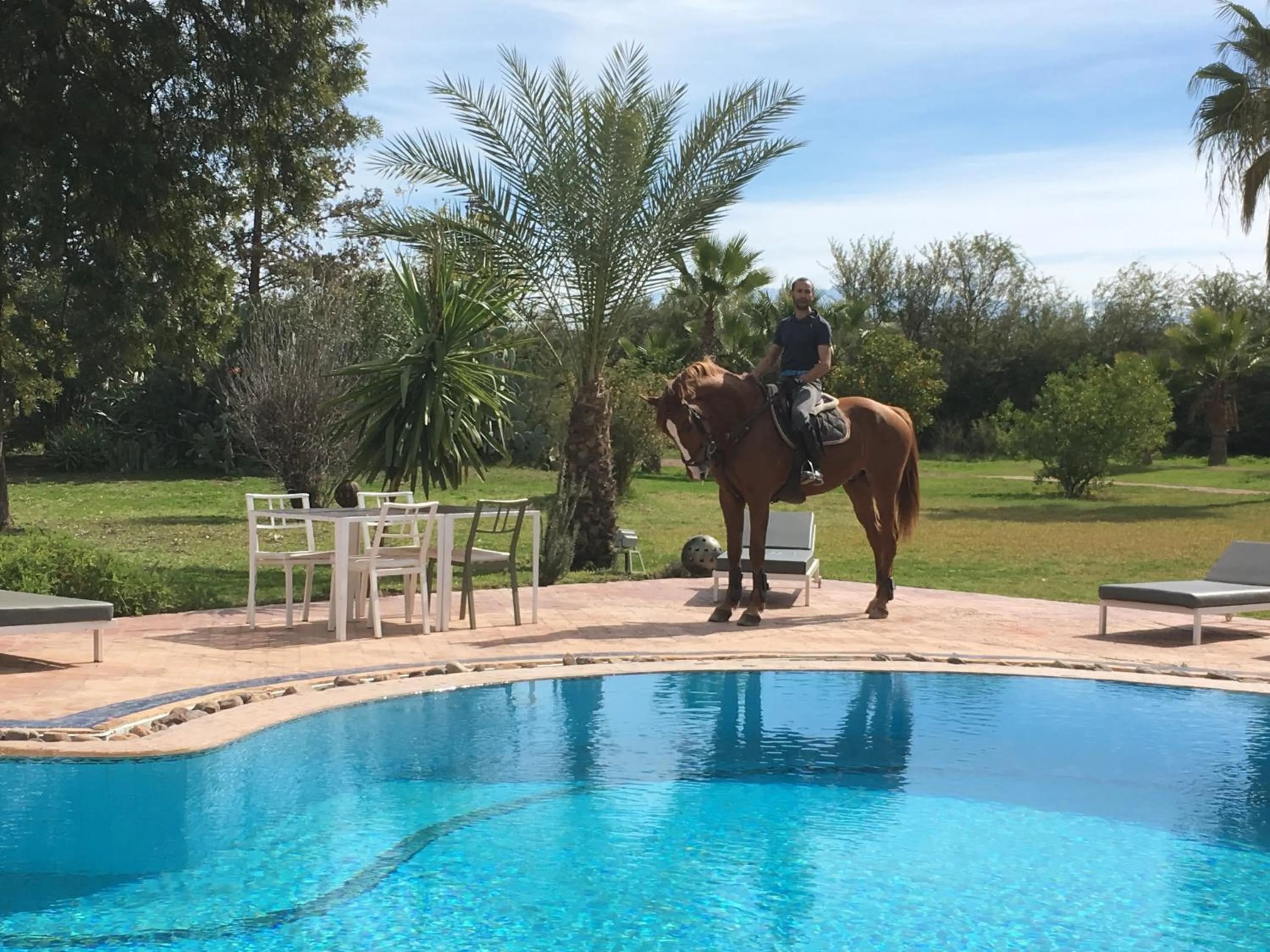 Horse-riding in La Vie En Rose - Horses & Dogs House