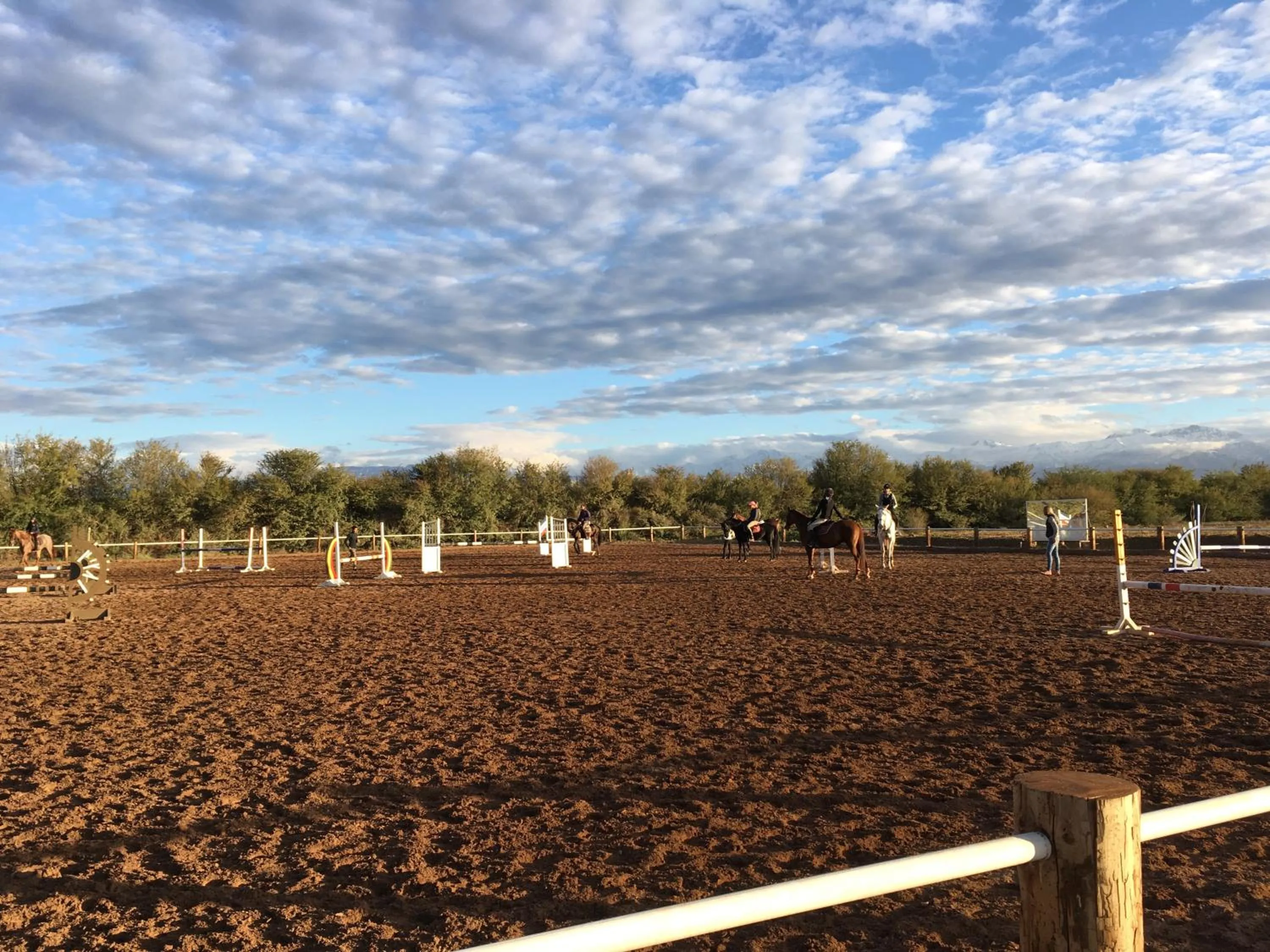Bedroom in La Vie En Rose - Horses & Dogs House