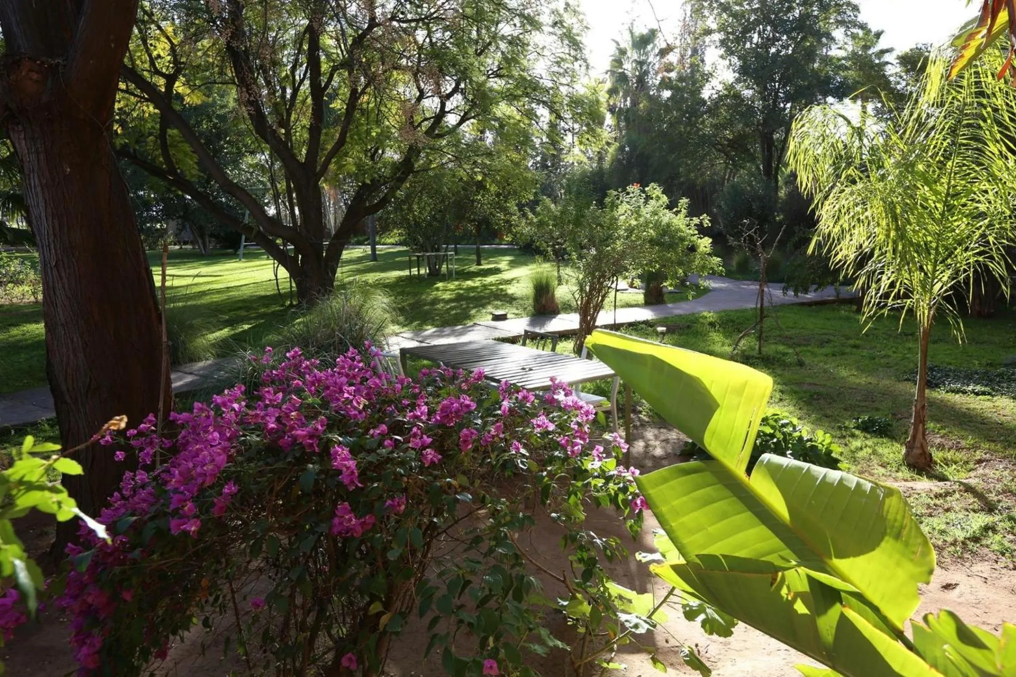 Bedroom in La Vie En Rose - Horses & Dogs House