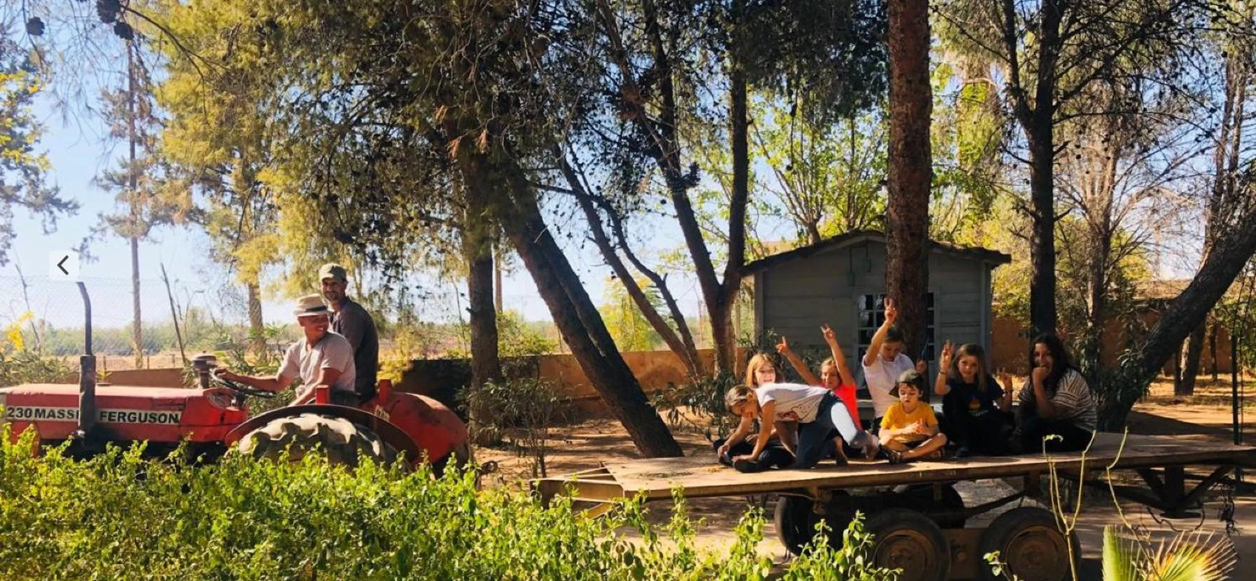 Garden in La Vie En Rose - Horses & Dogs House