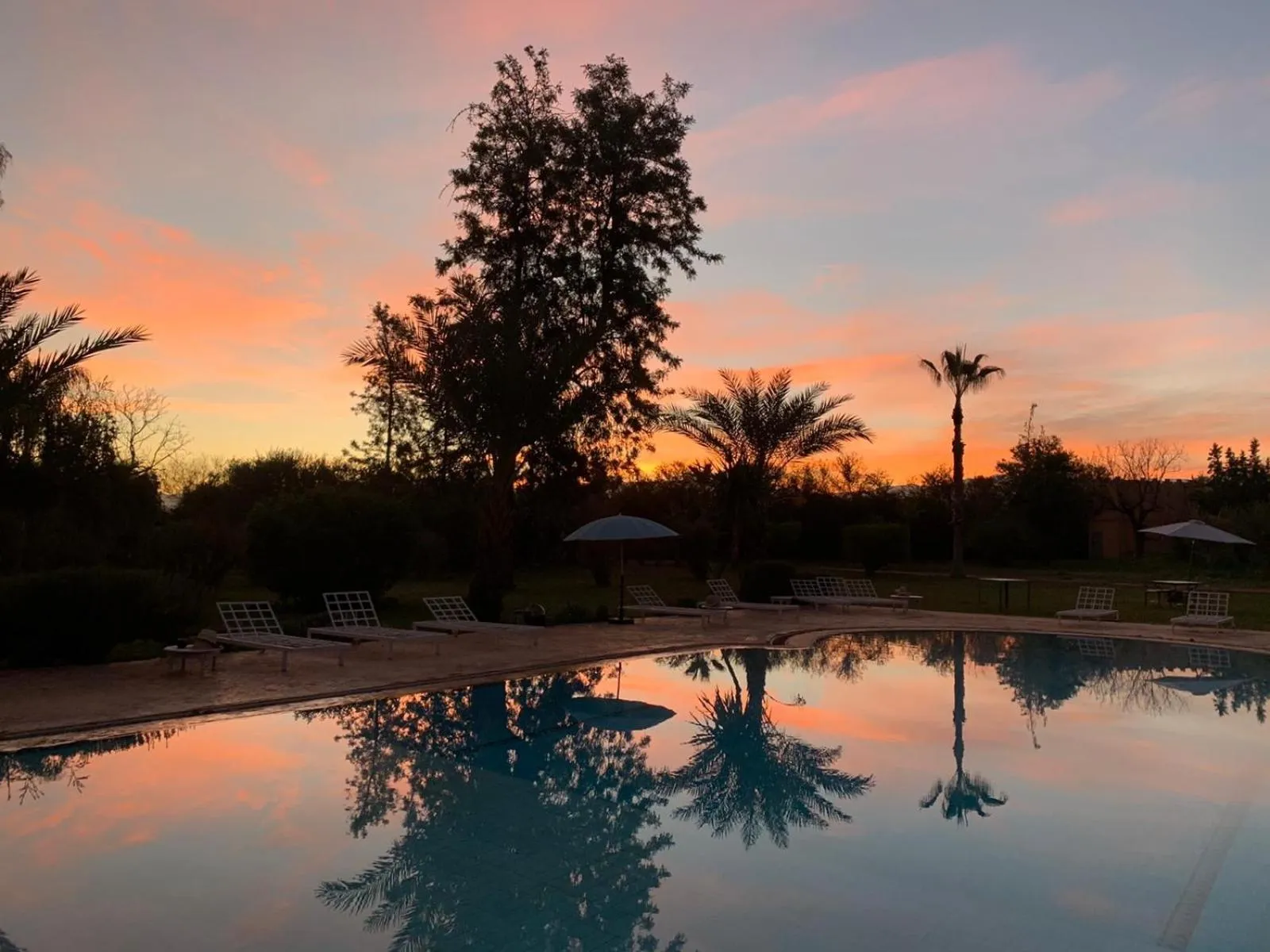 Restaurant/places to eat in La Vie En Rose - Horses & Dogs House