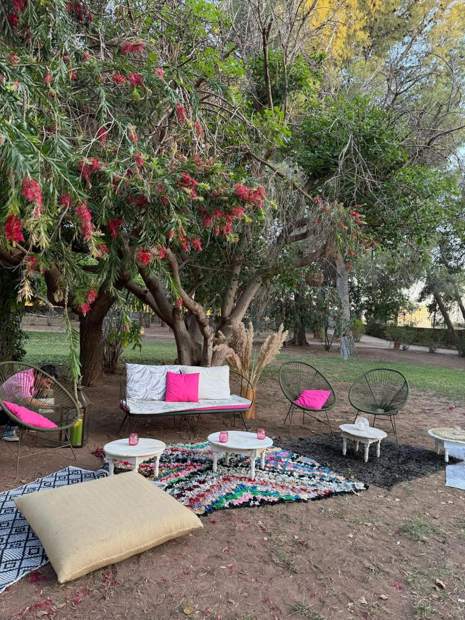 Garden in La Vie En Rose - Horses & Dogs House