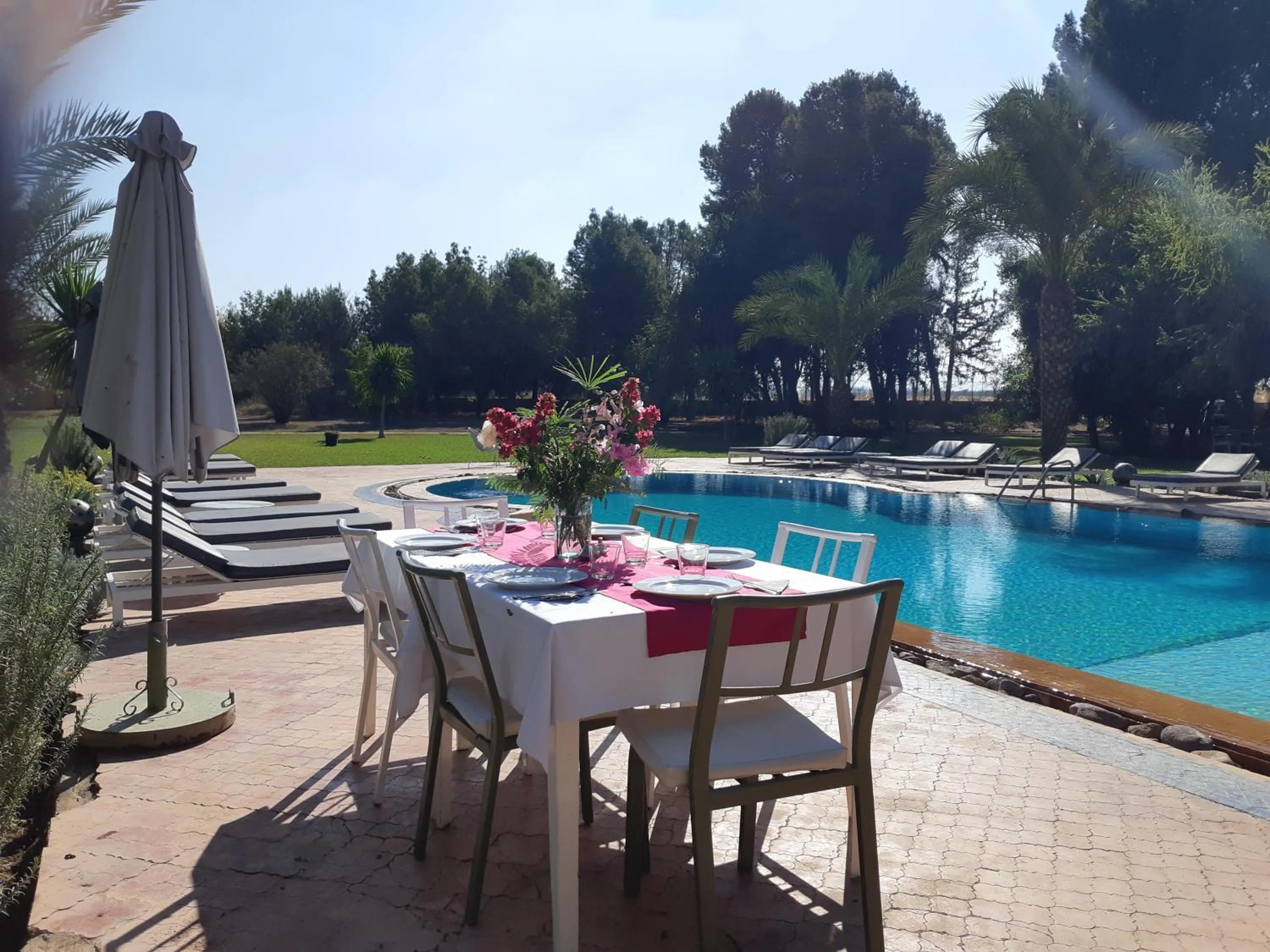 Breakfast in La Vie En Rose - Horses & Dogs House