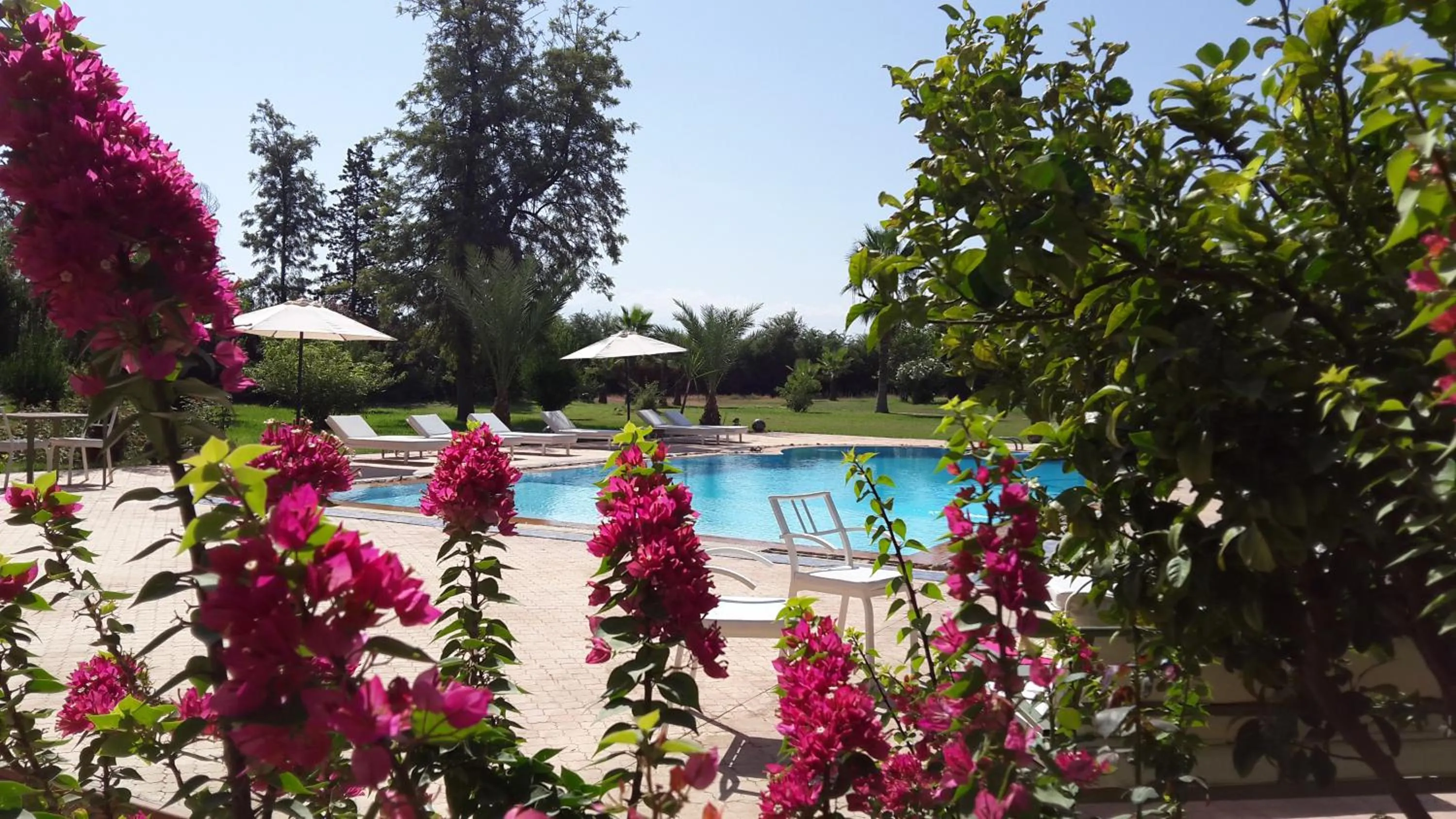 Bedroom in La Vie En Rose - Horses & Dogs House