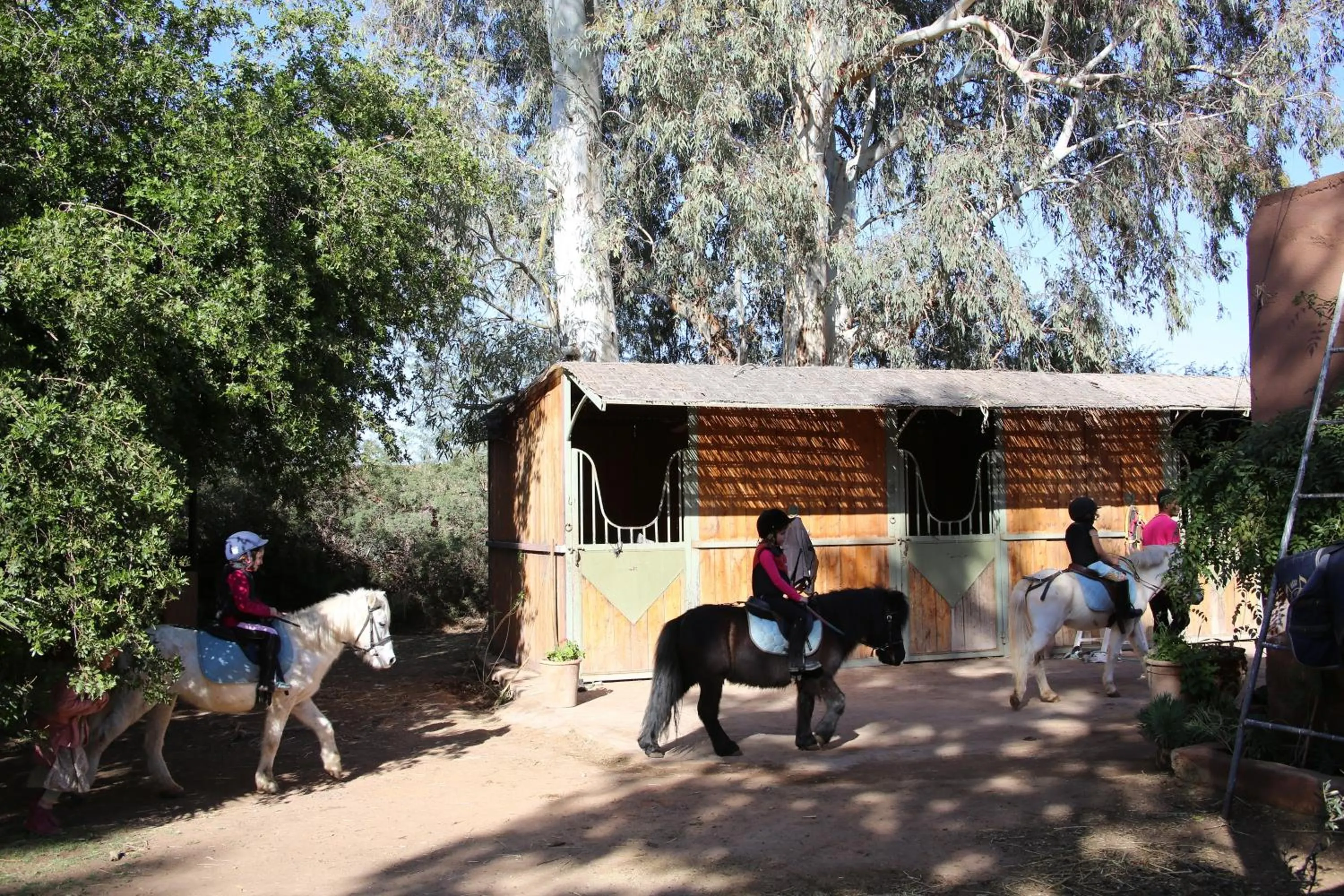 People in La Vie En Rose - Horses & Dogs House