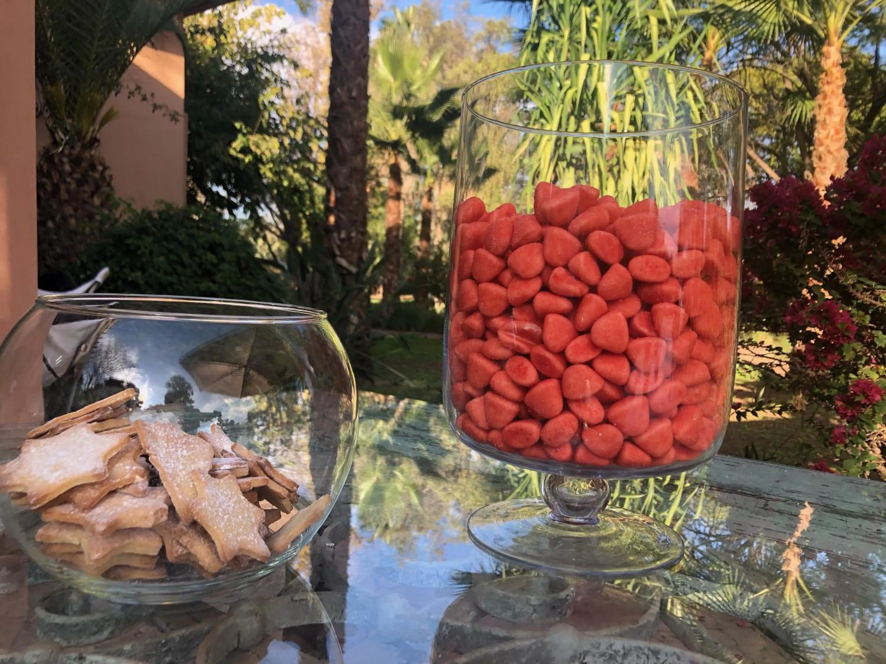 Activities in La Vie En Rose - Horses & Dogs House