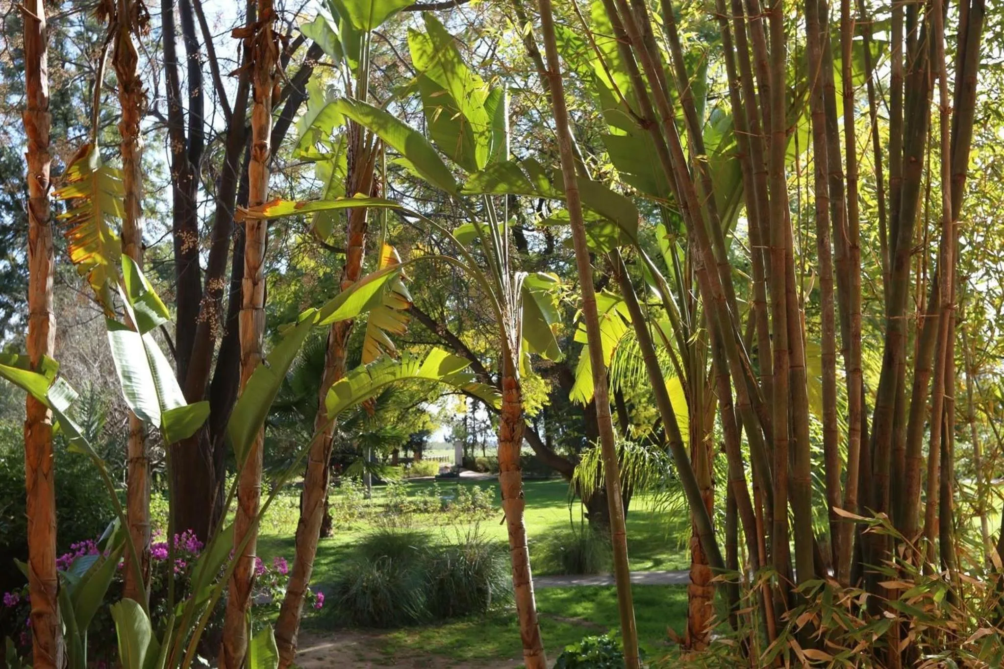 Bedroom in La Vie En Rose - Horses & Dogs House