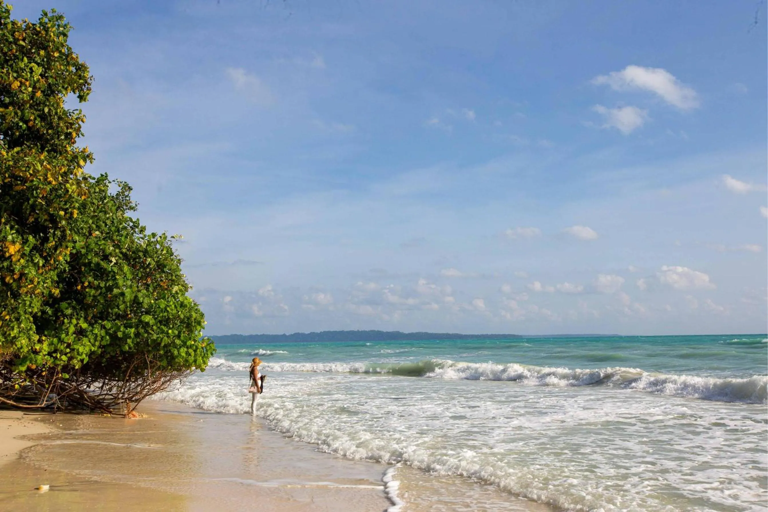 Other in Coral Reef Resort & Spa, Havelock