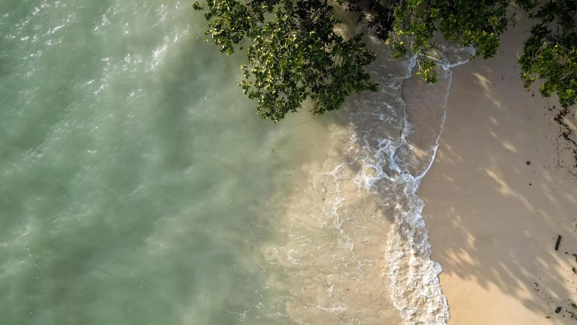 Other in Coral Reef Resort & Spa, Havelock