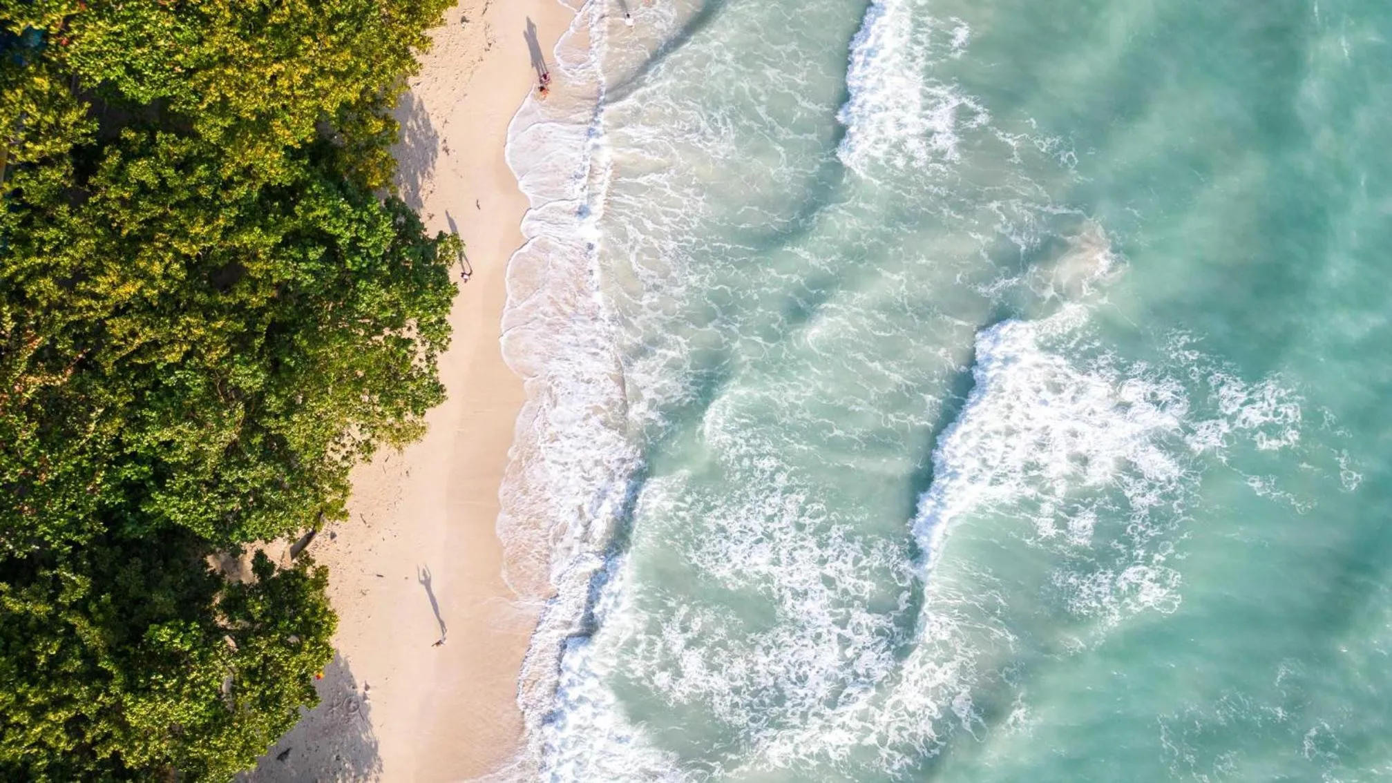 Other in Coral Reef Resort & Spa, Havelock