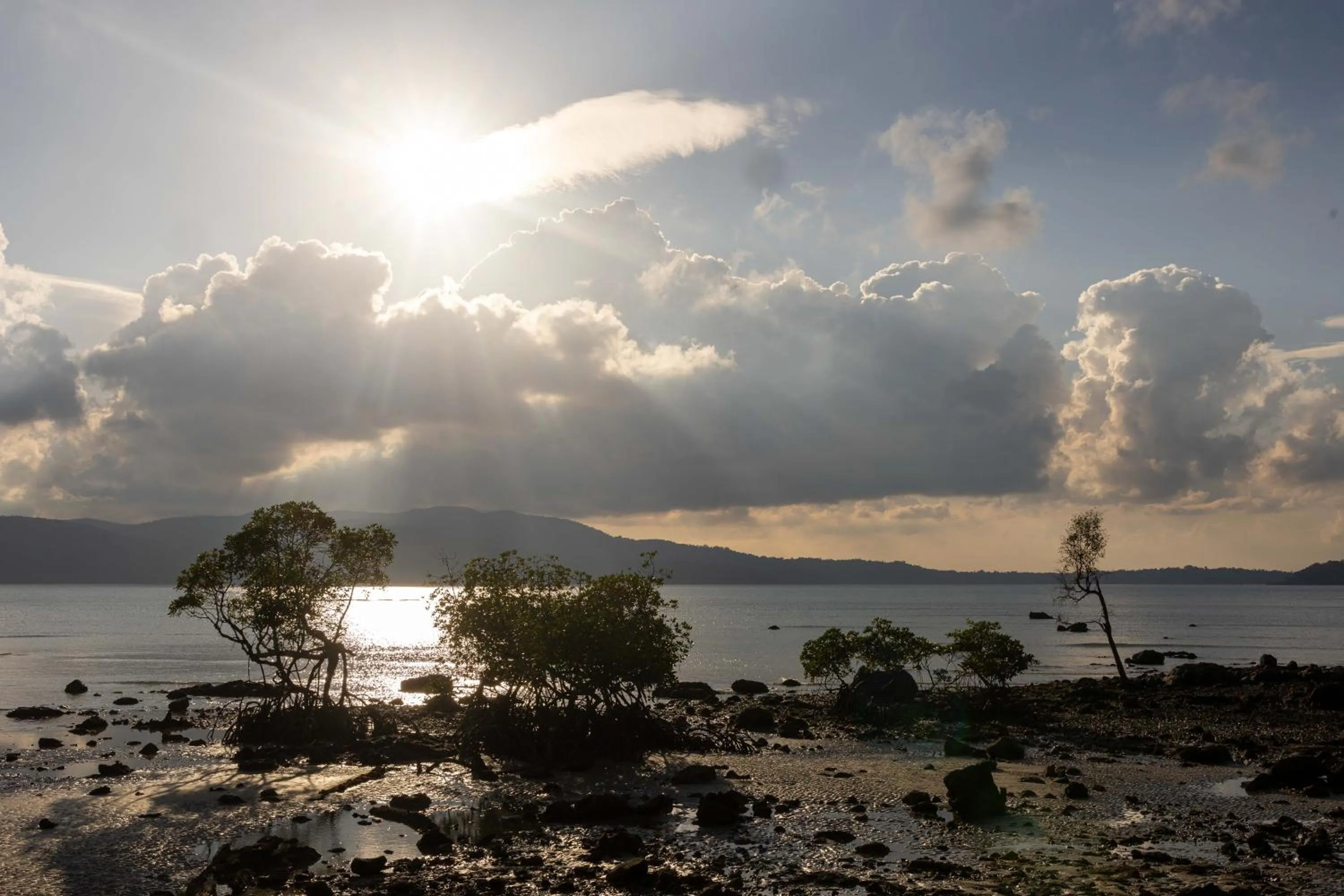 Activities in Coral Reef Resort & Spa, Havelock