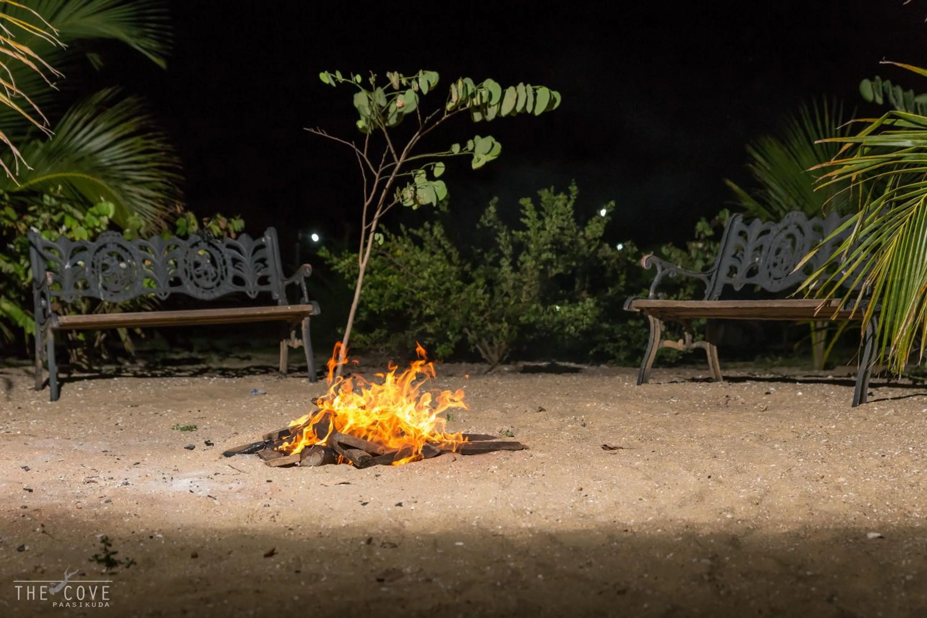 Area and facilities in The Cove Pasikuda - Eco Resort