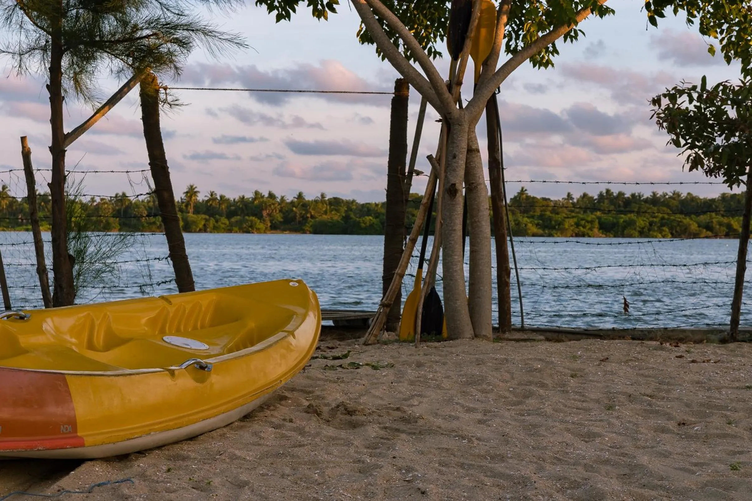 Canoeing in The Cove Pasikuda - Eco Resort