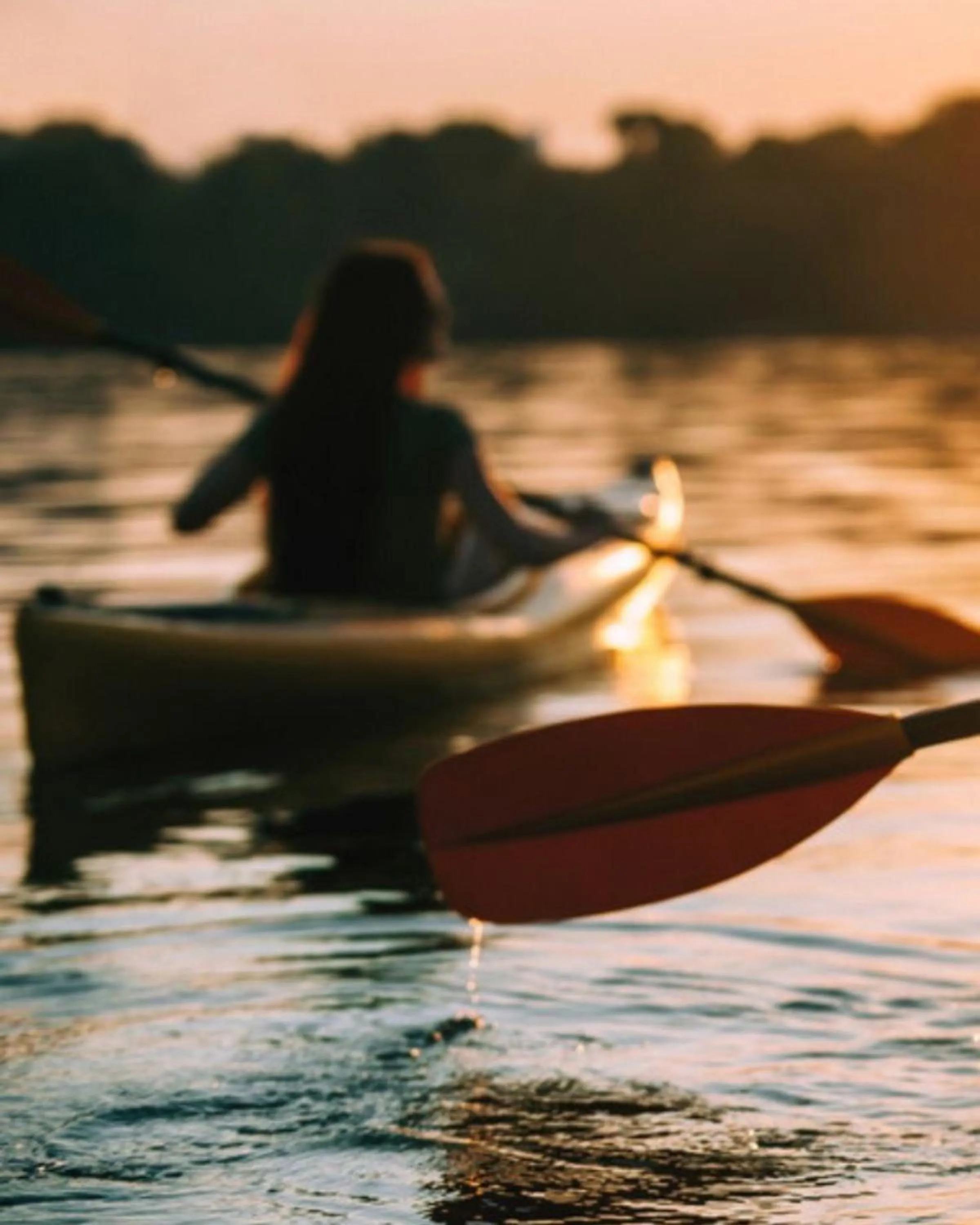 Activities in The Cove Pasikuda - Eco Resort