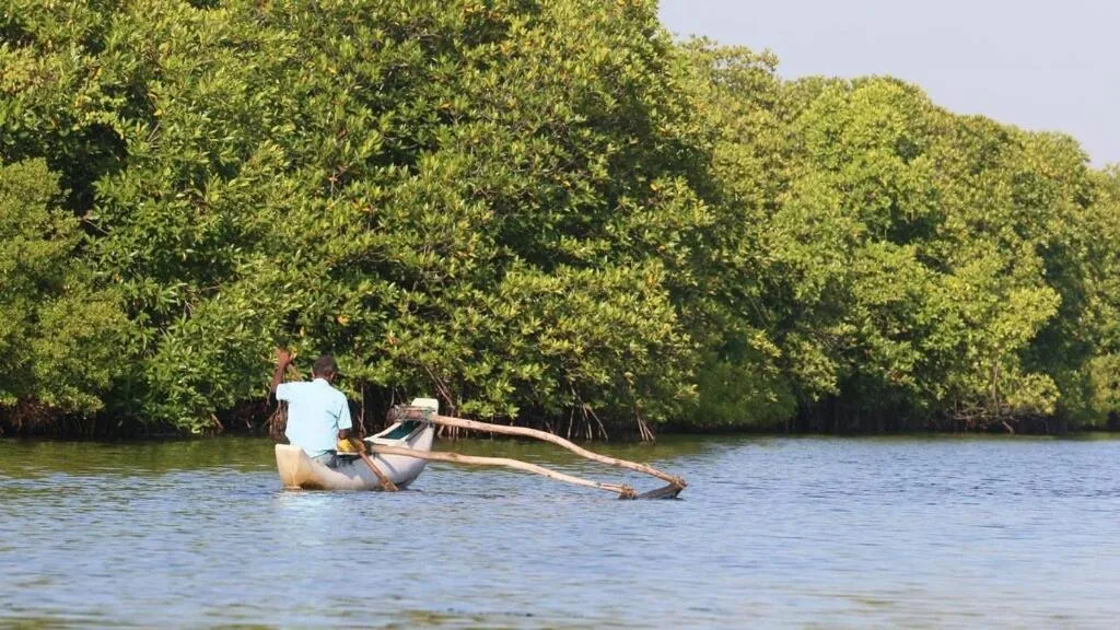 The Cove Pasikuda - Eco Resort