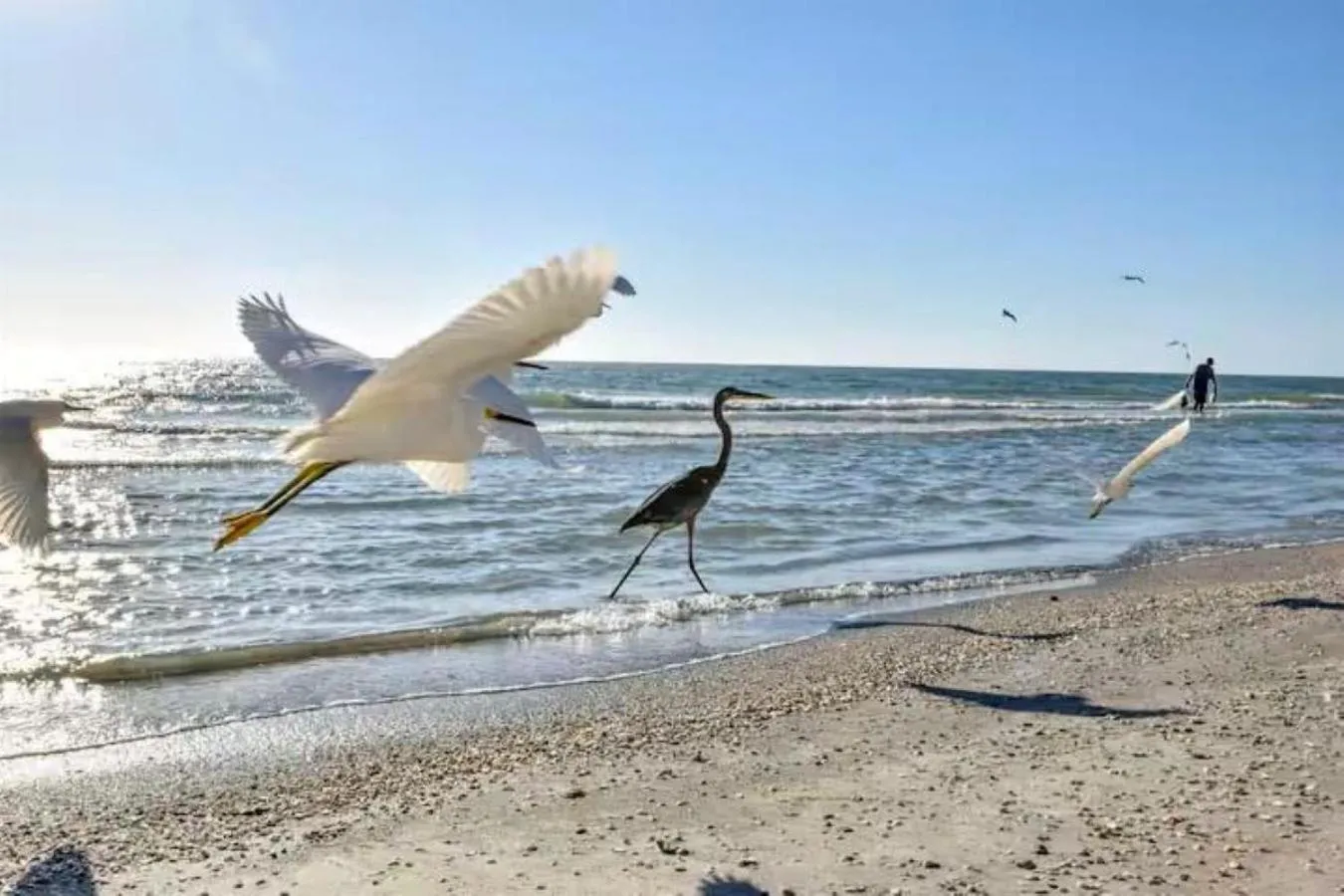 Day in Sea Oats #303