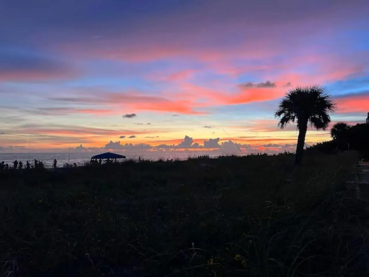 Natural landscape in Sea Oats #303