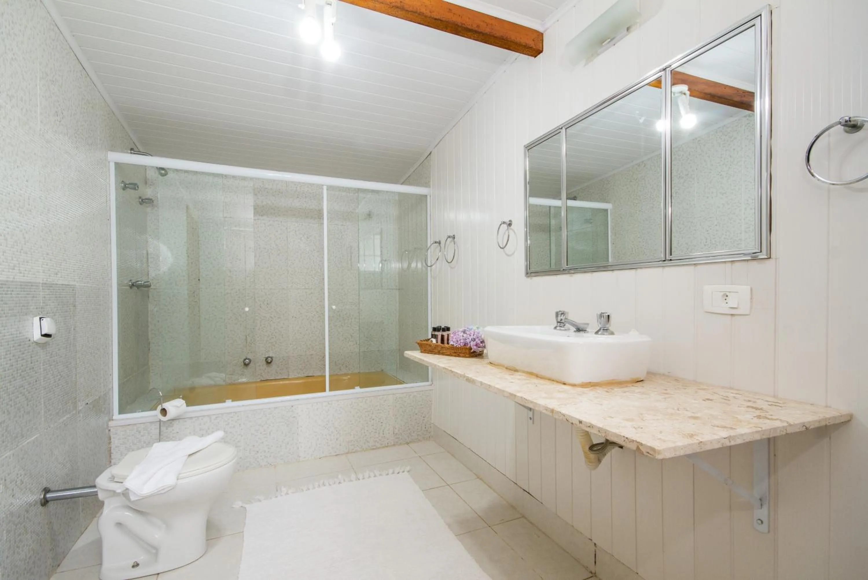 Shower in Villa Vintage Campos - Piscina e opções de suites com hidromassagem