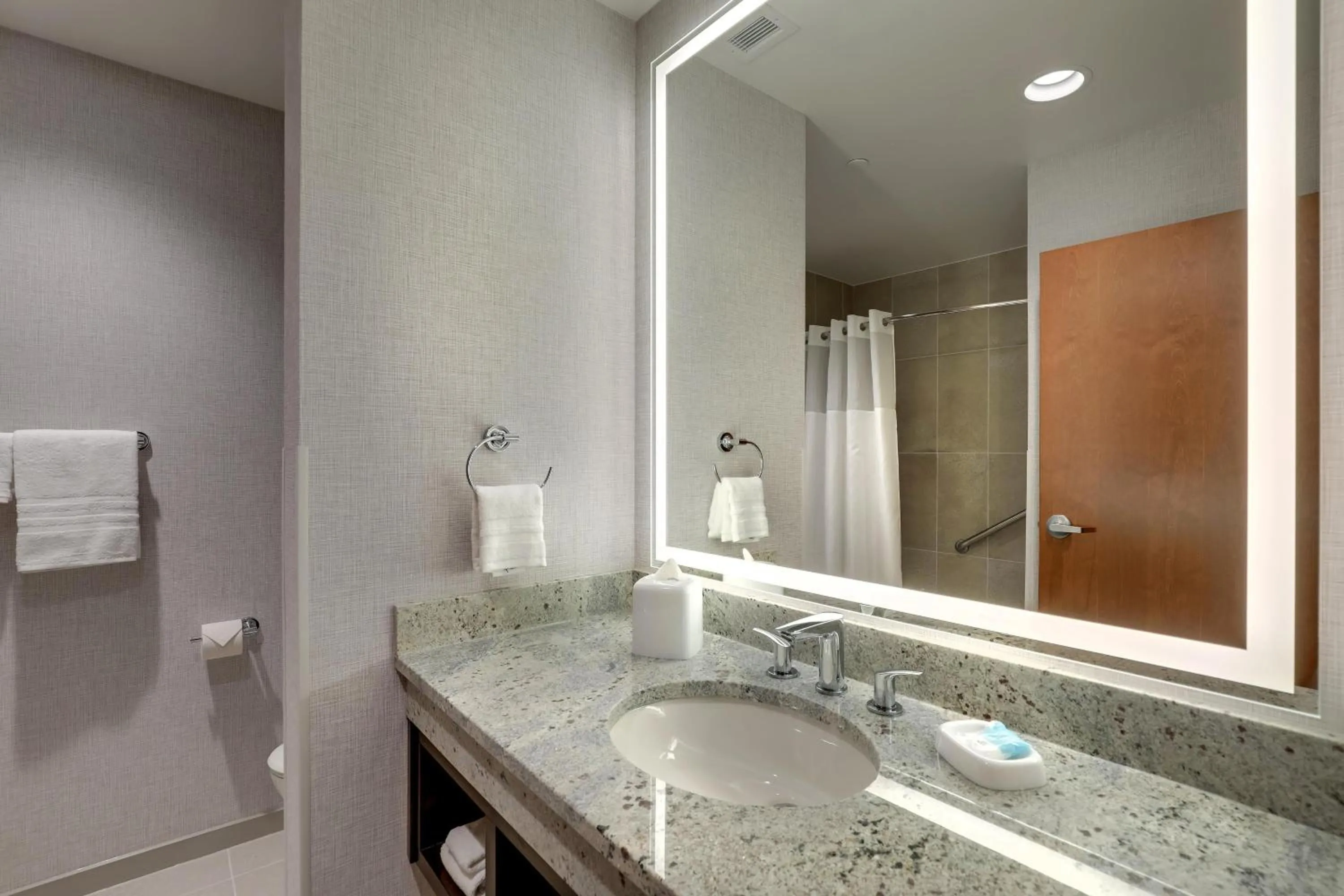 Bathroom in Drury Plaza Hotel Mobile