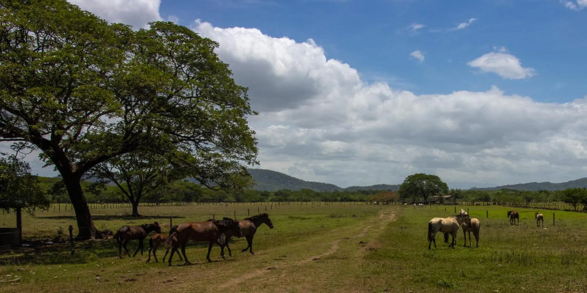 Natural landscape in Rancho Humo Estancia