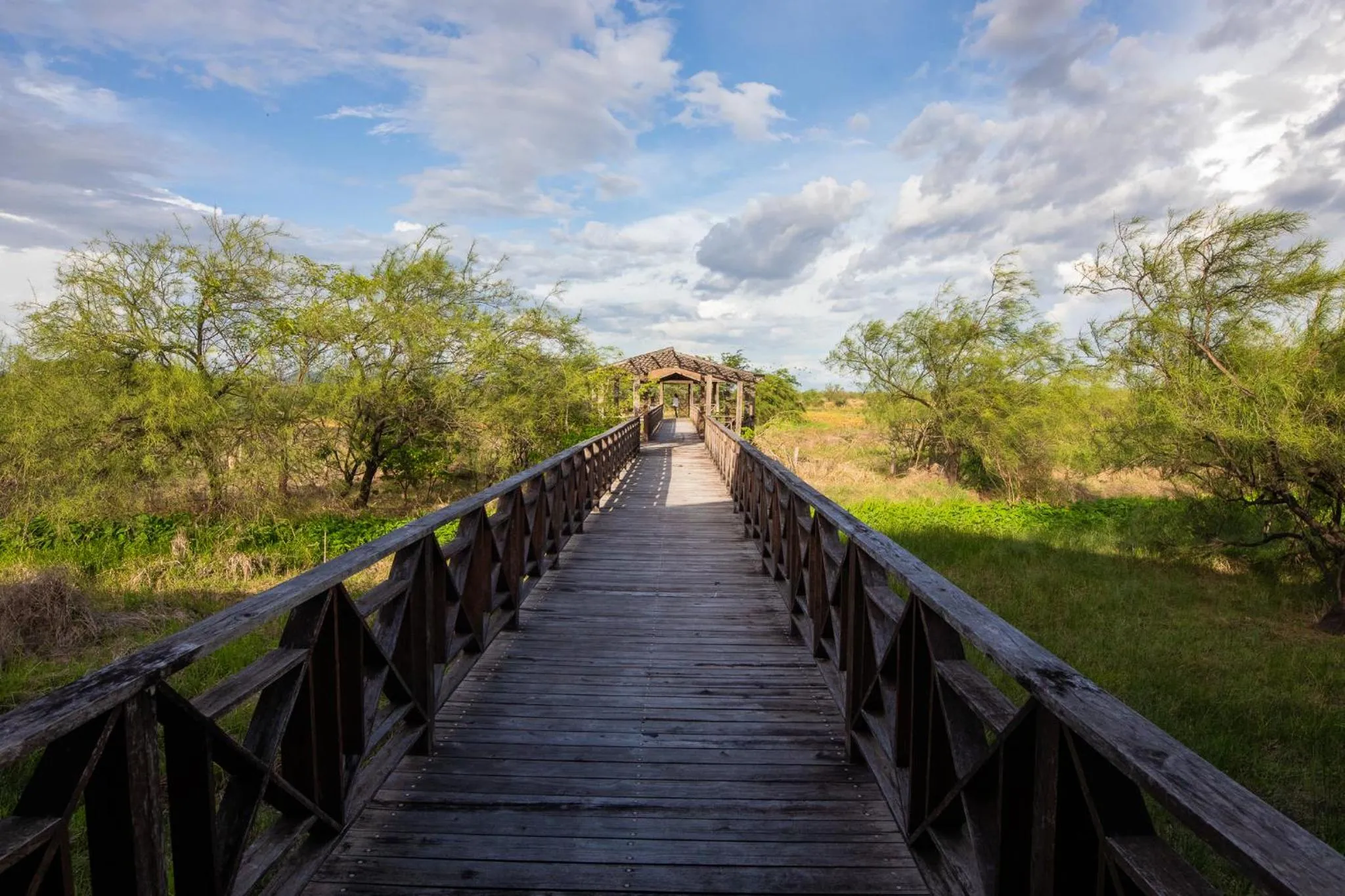 Natural landscape in Rancho Humo Estancia