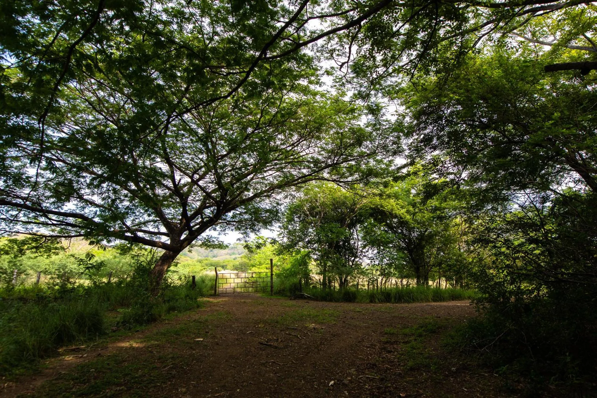 Natural landscape in Rancho Humo Estancia
