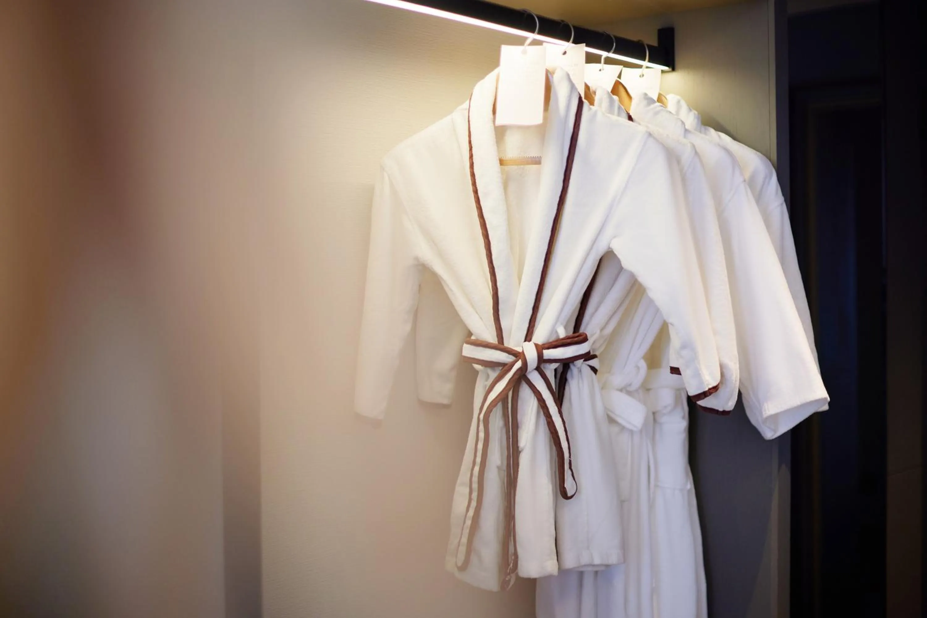 wardrobe in Crowne Plaza Dujiangyan by IHG