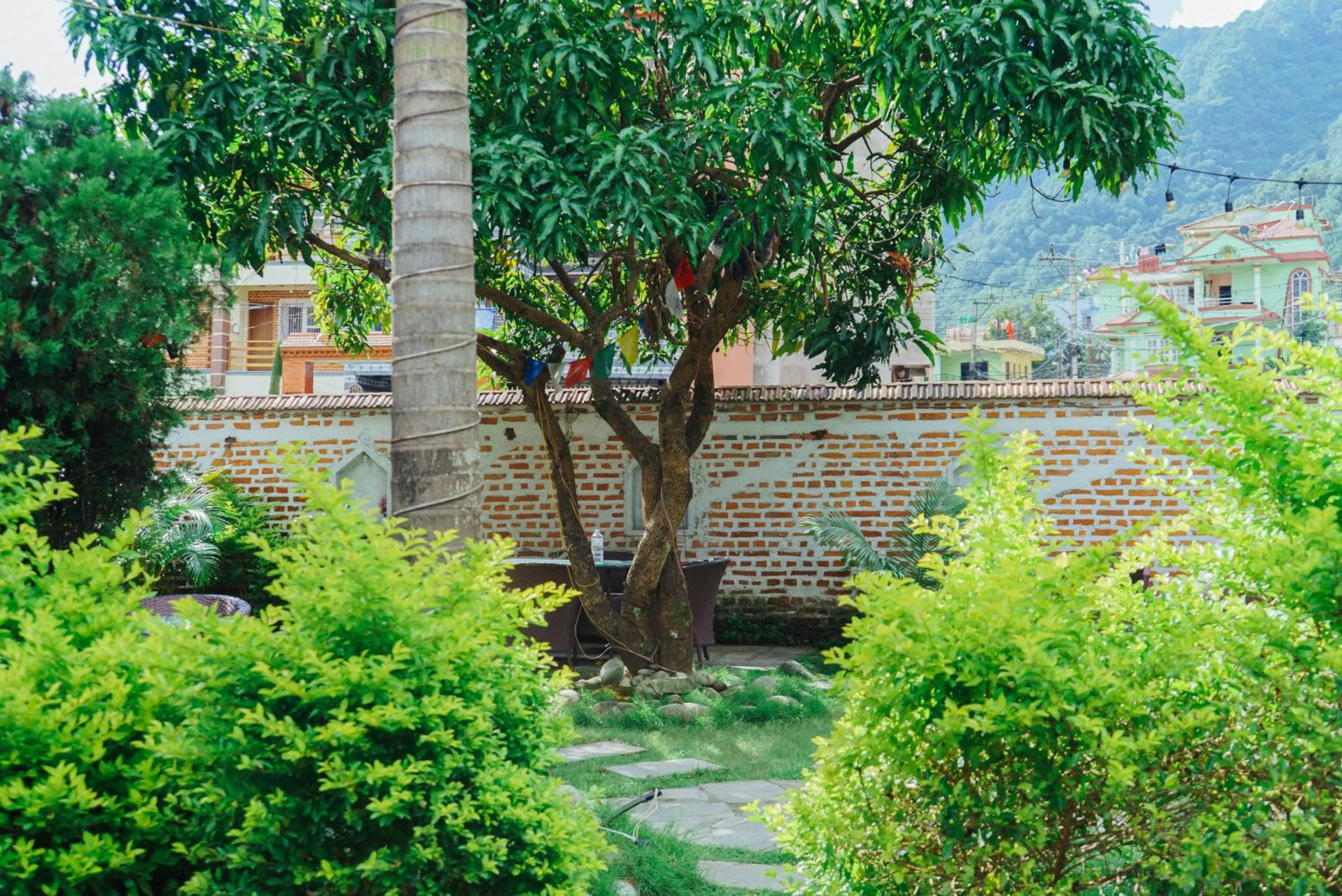 Garden in Eco Home Kathmandu