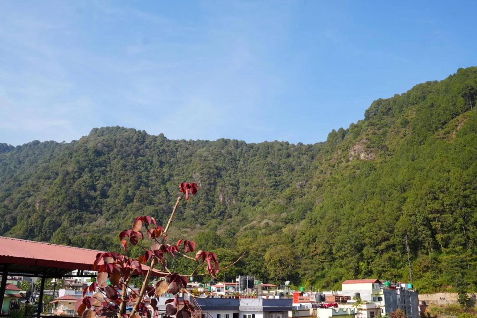 Natural landscape in Eco Home Kathmandu