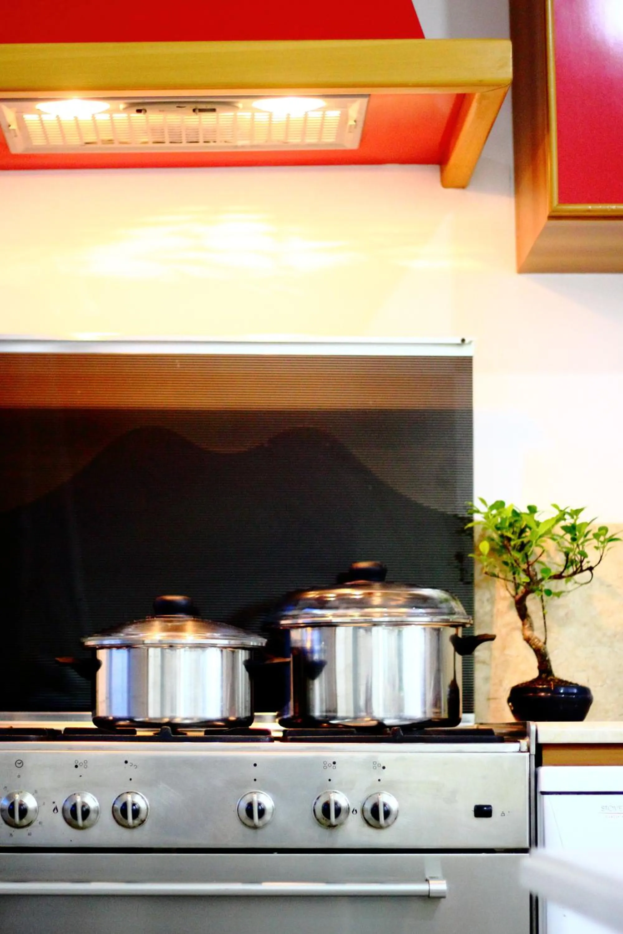 Kitchen or kitchenette in Palazzo San Vincenzo