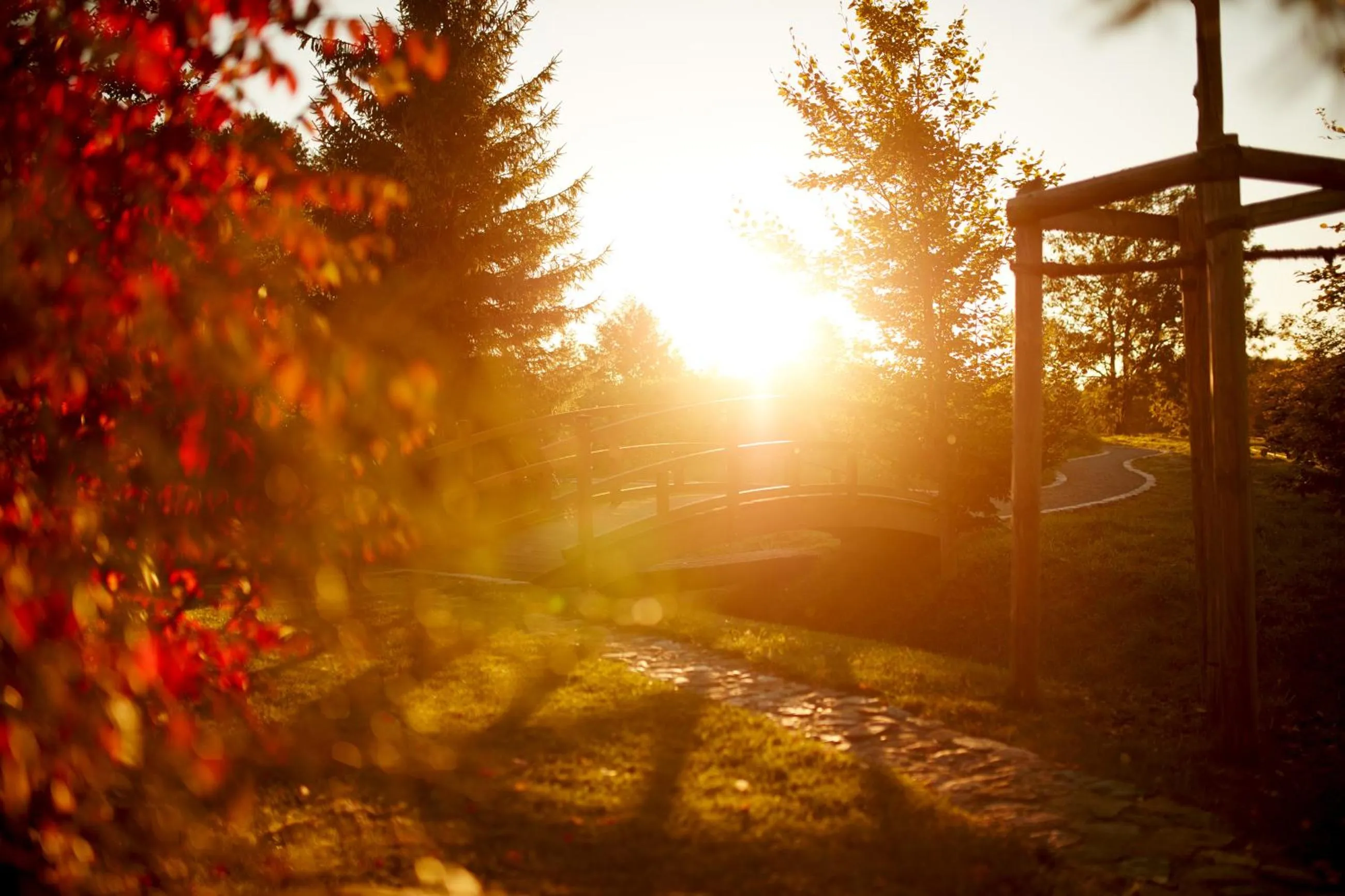 Garden in Paulinenhof