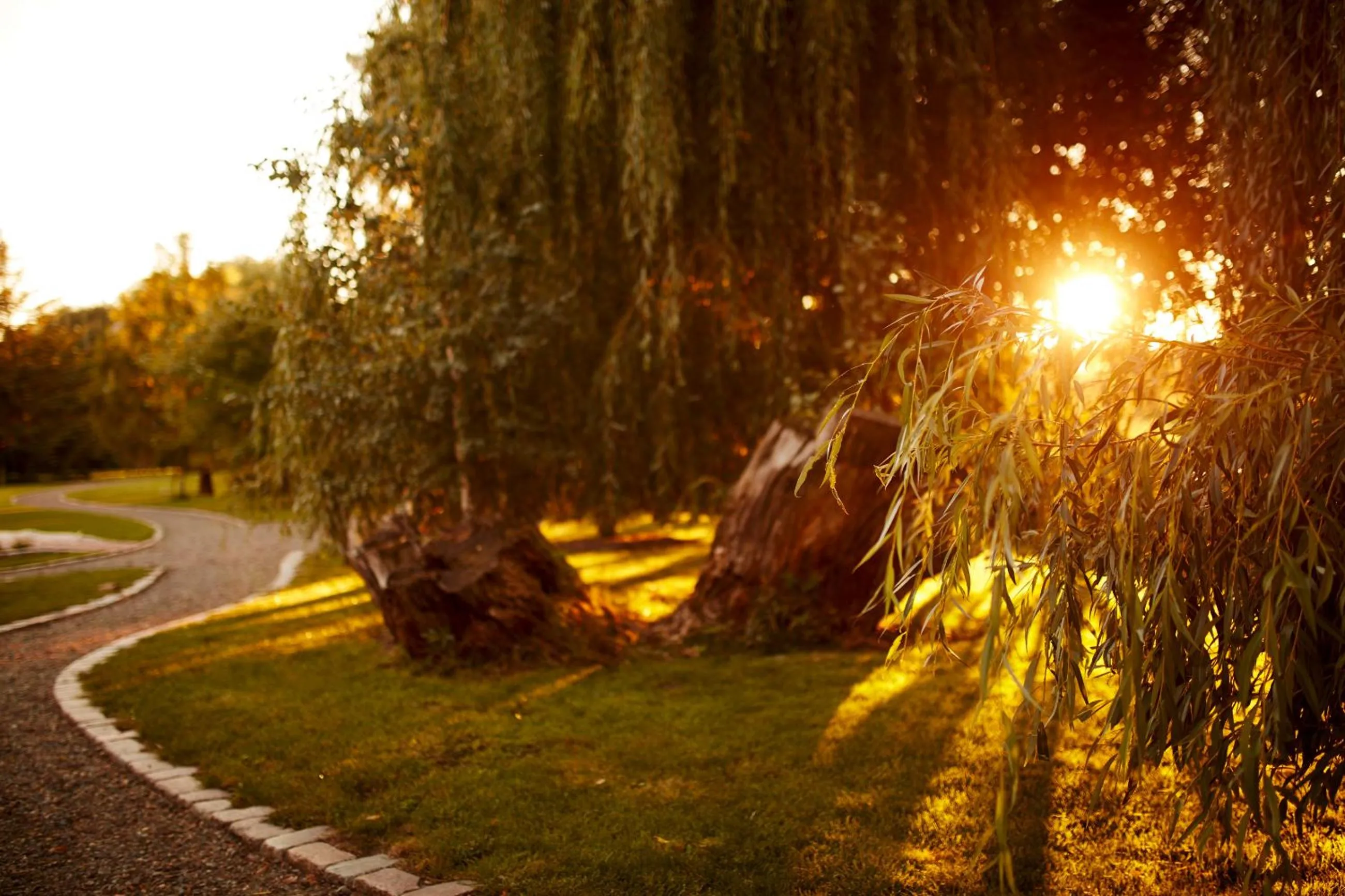 Garden in Paulinenhof