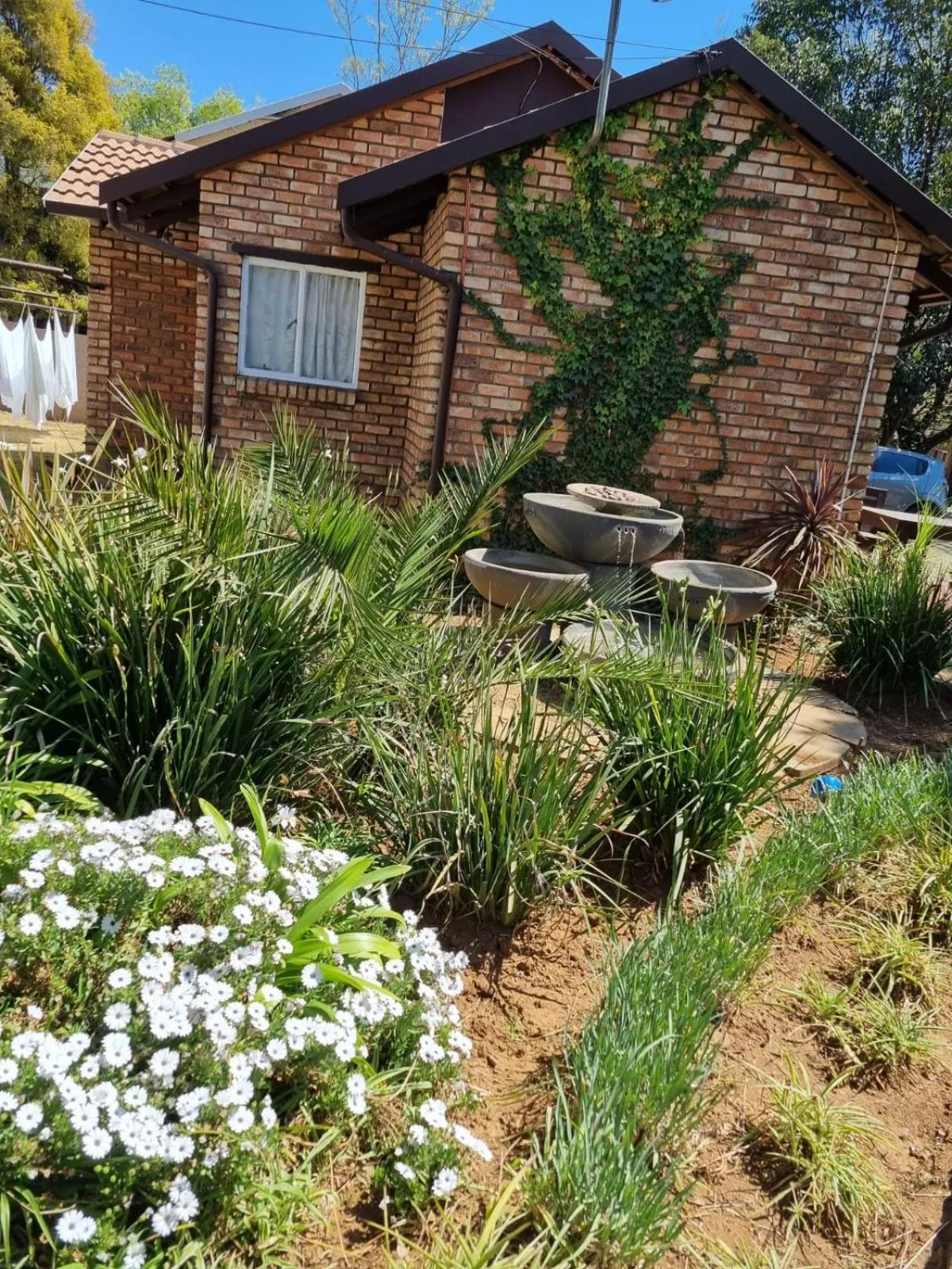 Garden in Airport Inn Bed and Breakfast