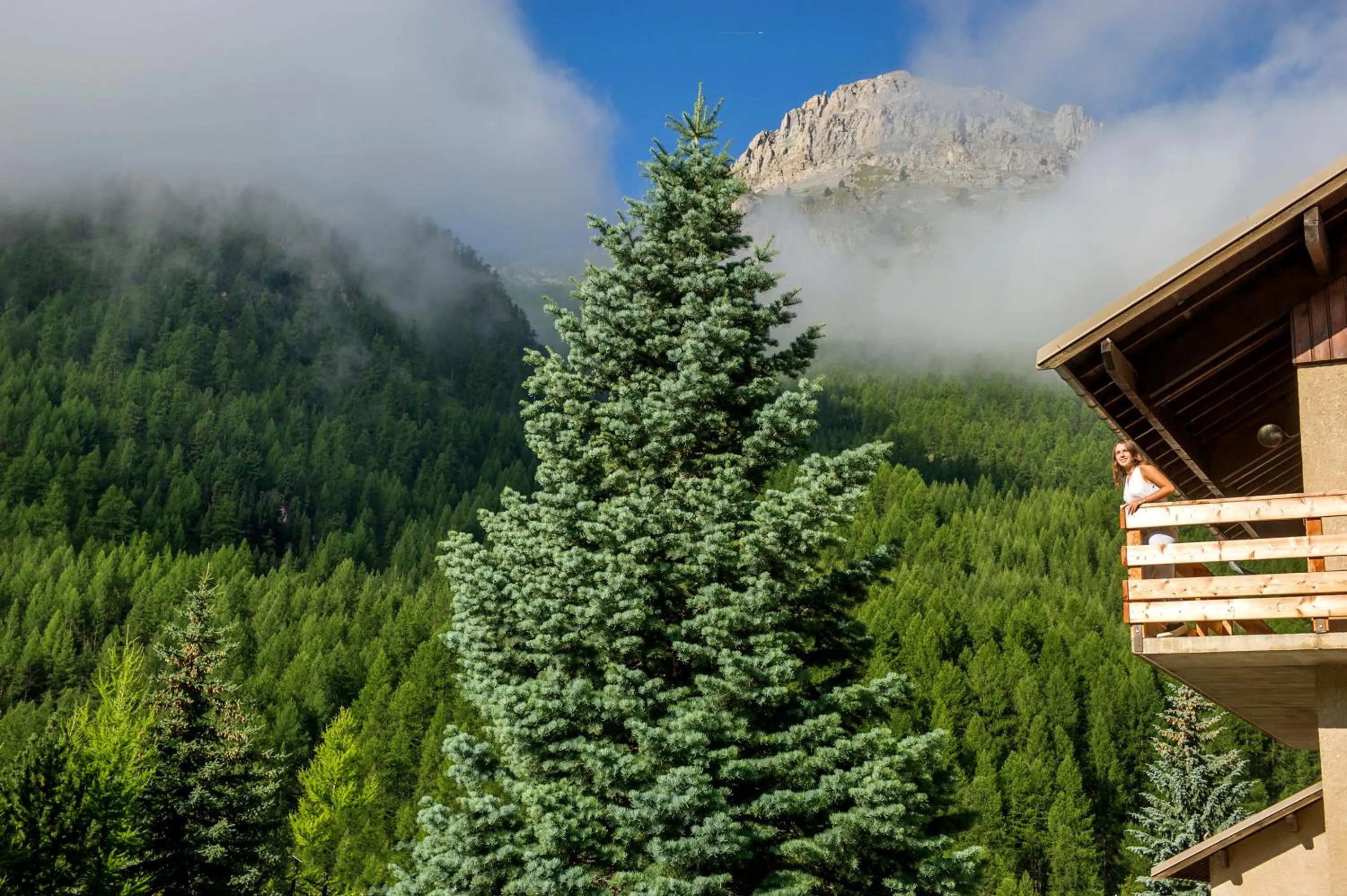 Balcony/Terrace in VTF Les Esquirousses