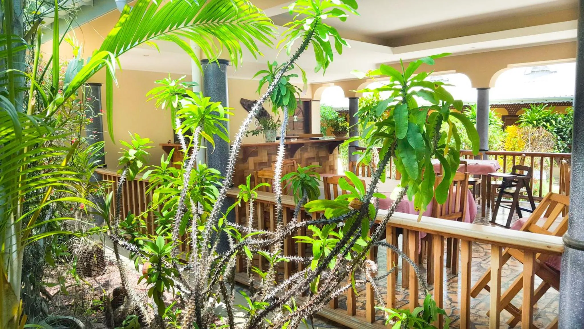 Restaurant/places to eat in Bernique Guesthouse