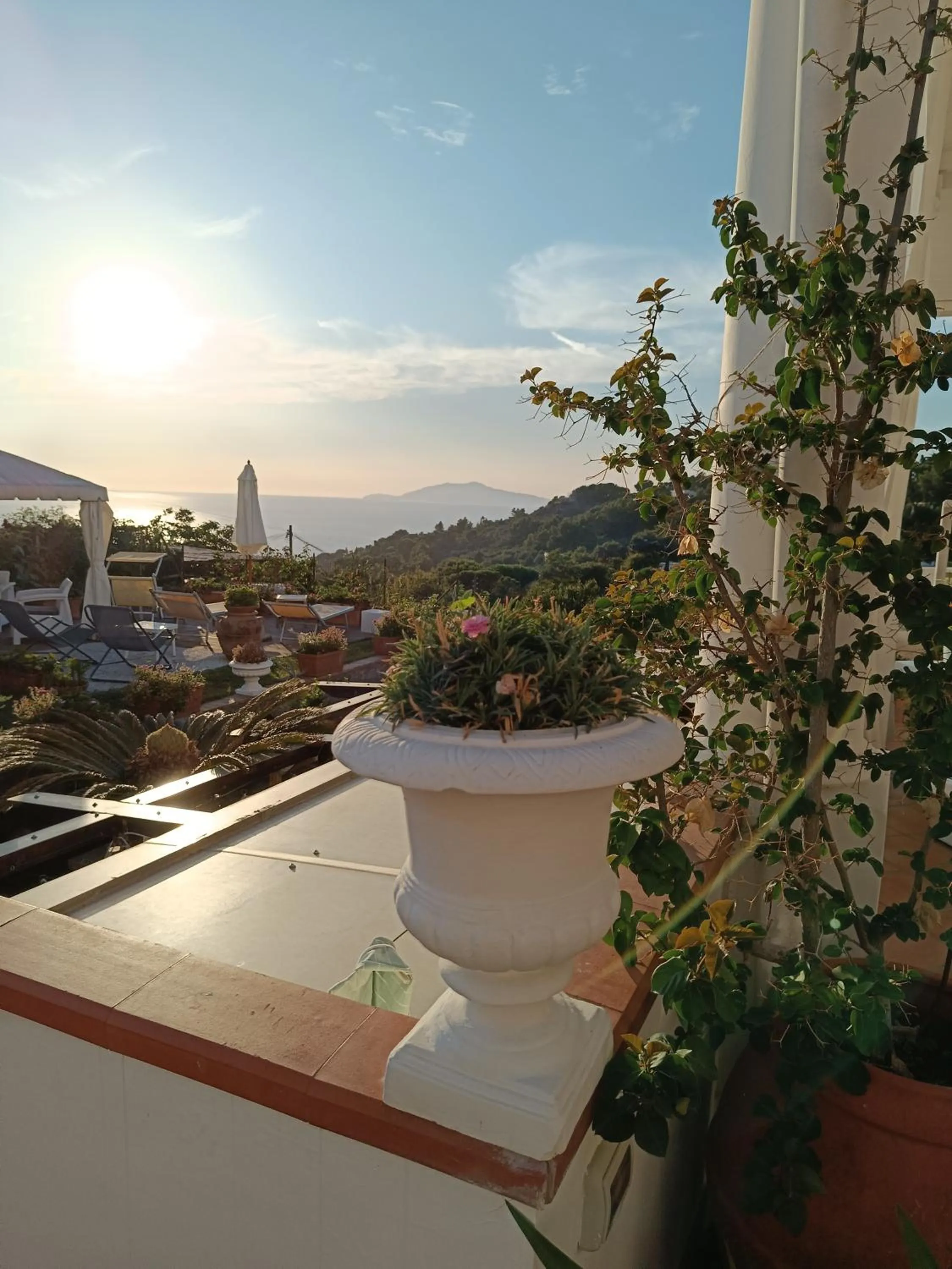 Natural landscape in B&B Villa Cristina