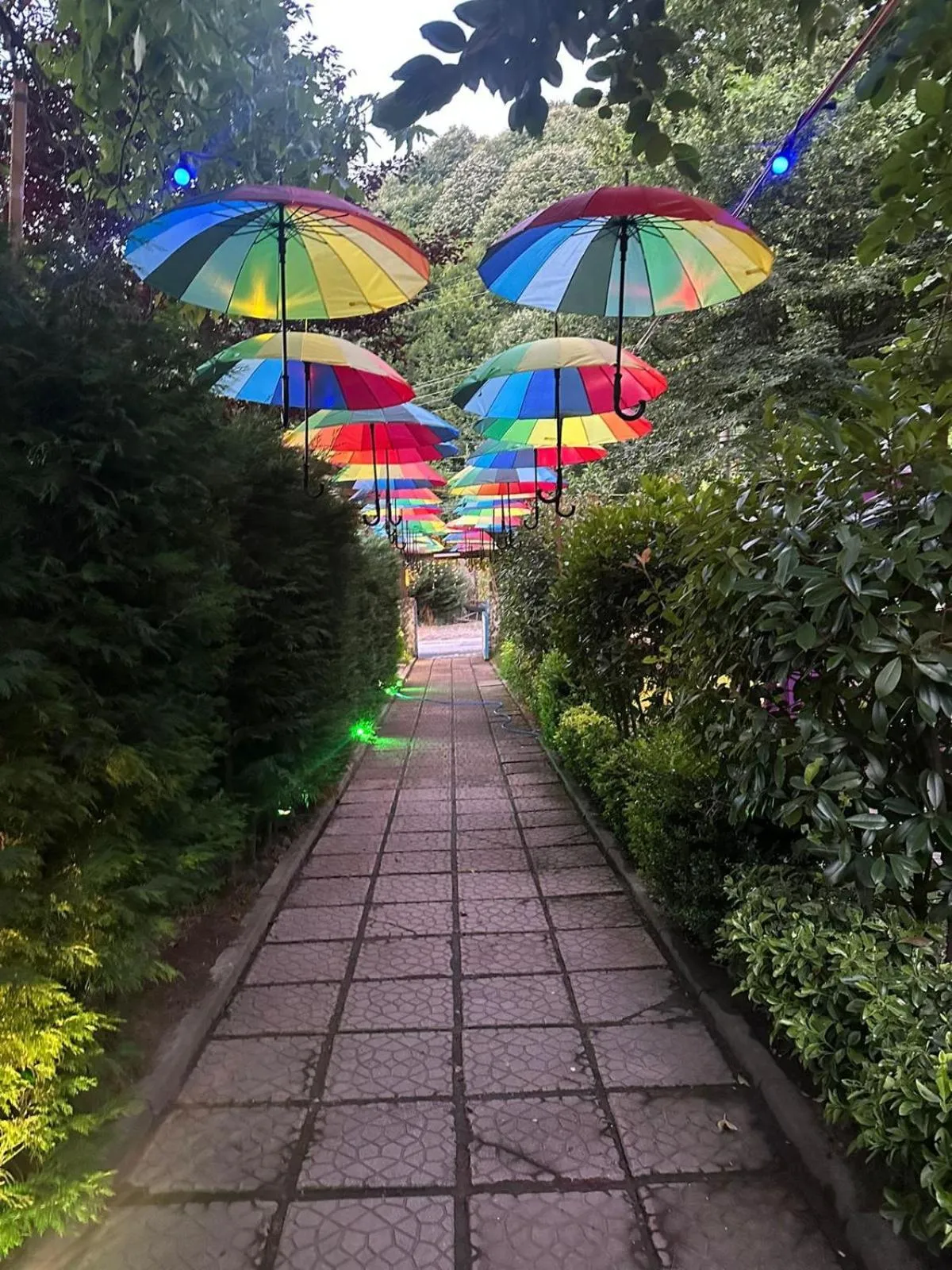 Sapanca Gönül Sofram Hotel & Bungalow & Villas