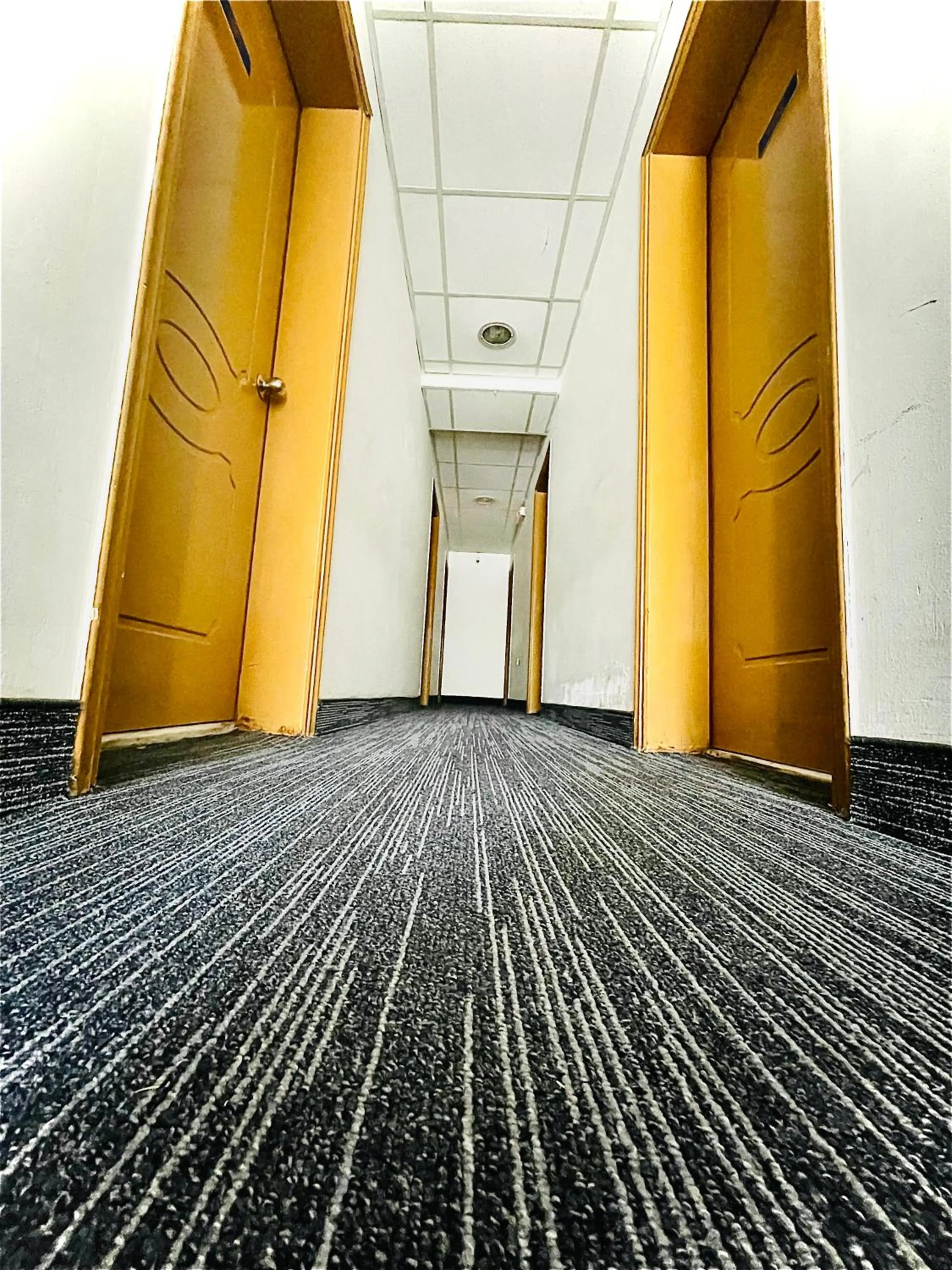 Property building in Kiani Akti